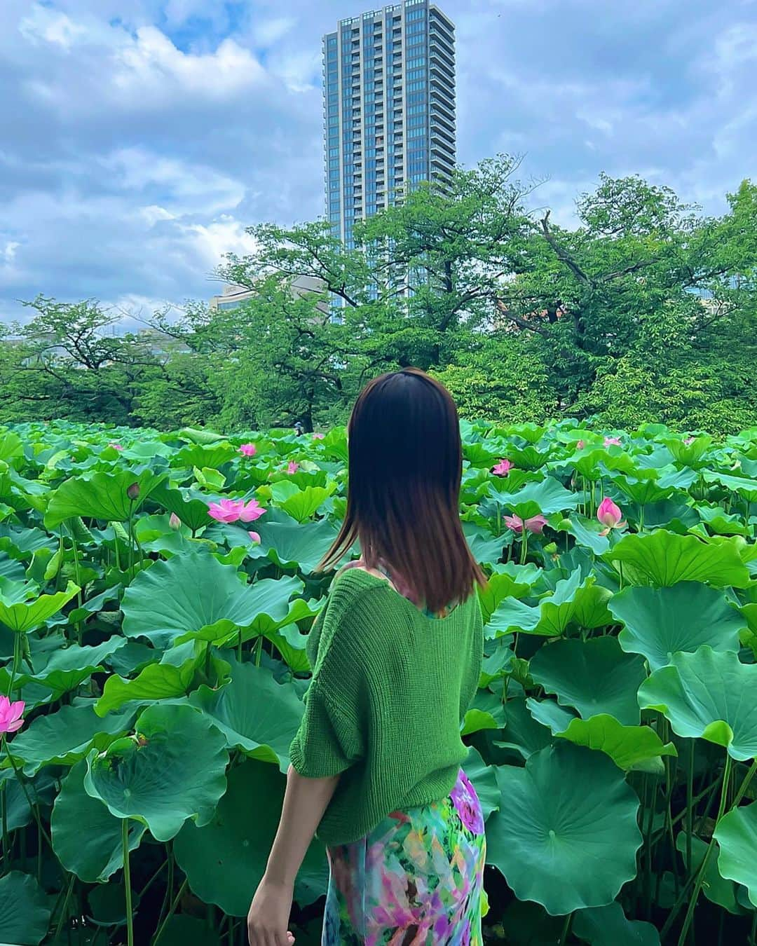 真衣ひなののインスタグラム：「蓮の花🪷 夏の朝に咲く花だと 初めて知りました2023 . #蓮の花 #保護色 #蓮コーデ」