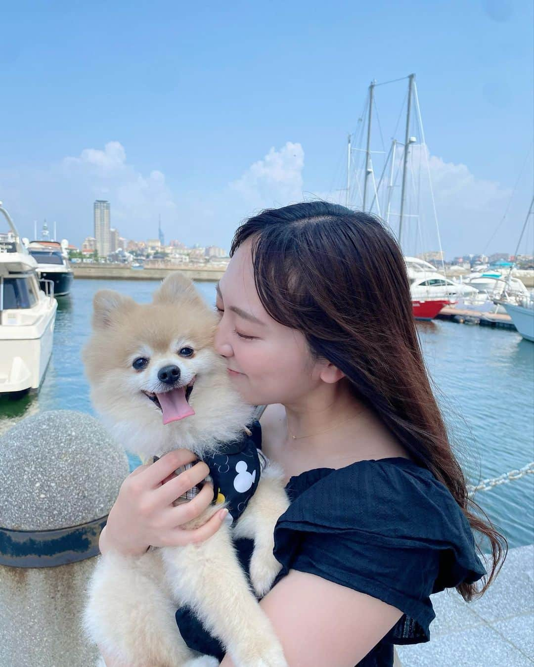 坂口理子のインスタグラム：「8月20日は愛犬坂口ライアン小川くんの8歳の誕生日でした~！  写真を撮りにいきました☺︎ マリノアシティ福岡です！  犬用のケーキをあげました🍰  #ポメラニアン #犬」