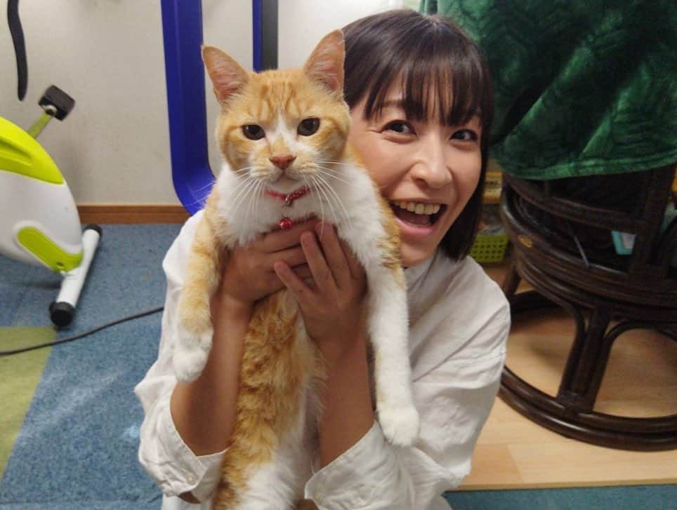 小野真弓さんのインスタグラム写真 - (小野真弓Instagram)「おはにゃーん😆 アオナナにゃ🐯🐯✨  おかーさんのコップのボール、、 だんだん 小さくなる。。。🧊✨ 不思議だにゃあ👀 朝から研究熱心な兄妹です😆✨  🐈 ご近所さんのお家の猫さんの 脱走防止のご相談✨ 猫さんに説得しているところ😆🙋‍♀️  お外は危険がいっぱい。 お家の中は涼しいし安全だし 何より、あなたのことが大好きな ママさんが居るにゃよ。 あなたに何かあったら、ママさん泣いちゃうにゃよ。 お外なんて、行かんでよろし。  優しい茶白さん☺️ はじめましての私の話 聞いてくれていました🥺✨ ママさん 脱走防止柵ご検討くださるそう☺️ 猫愛溢れるお宅に 癒されました🥺✨  今日も今日とて 良い一日をお過ごしください☺️🍀  #犬猫日記#犬と猫のいる暮らし #兄妹猫#アオくん#ナナちゃん #チワワ#ハナちゃん #チワマル#ハルくん #パンダ猫#ちりんくん #黒猫#くーちゃん #茶白くん#猫仲間 #猫は室内飼いを #地域猫活動#草の根活動」8月21日 9時02分 - hanaharuaroi