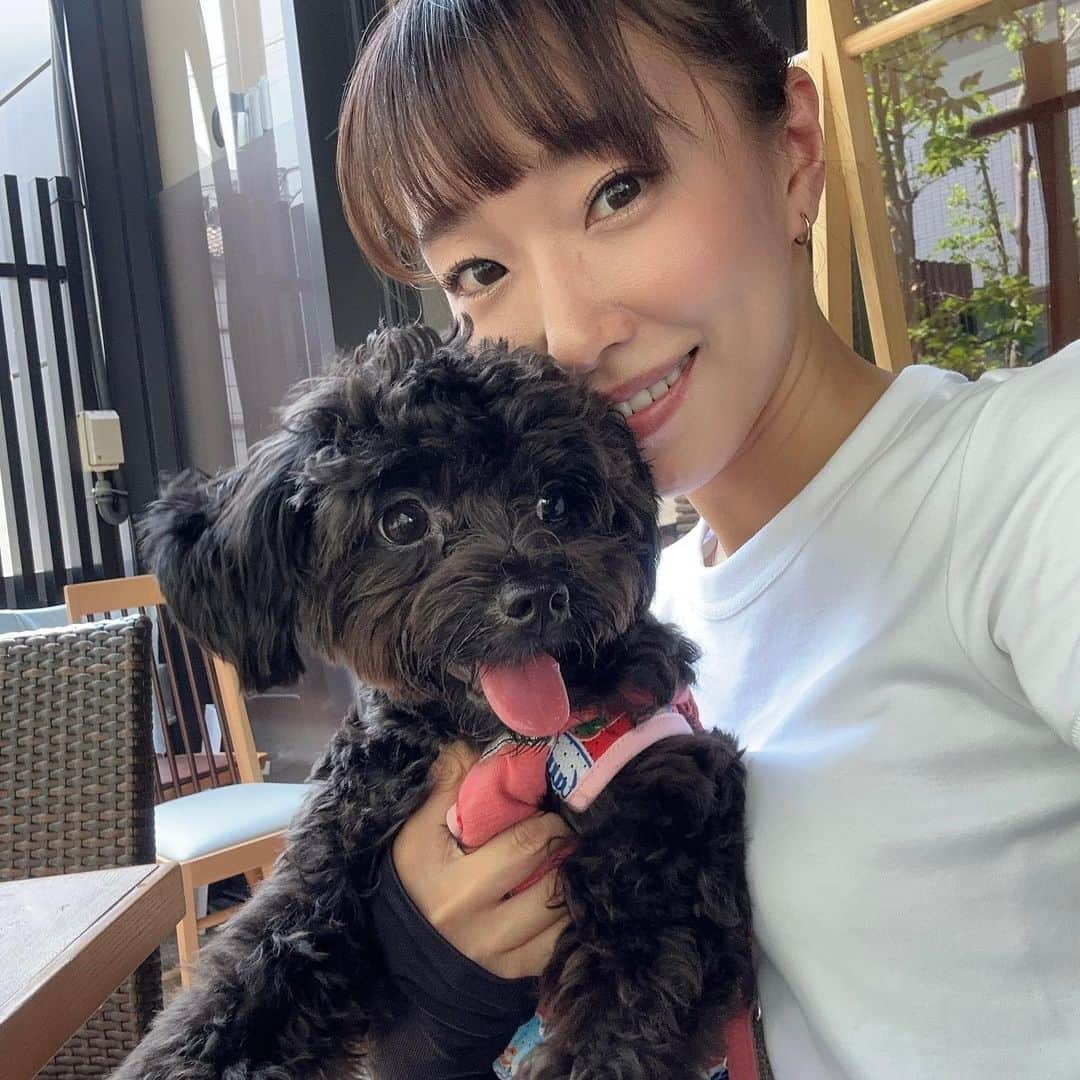 藤田舞美のインスタグラム：「❁︎ 昨日はニコとお出かけ🐾 ワンちゃん🆗のお店でお蕎麦も食べて来ました🥢 さっぱり夏らしくて美味しかった〜😋 * さぁ、今週も頑張りましょう✊ * #オフの日の過ごし方 #愛犬 #愛犬とお出かけ #いぬすたぐらむ #わんこのいる生活 #蕎麦 #dog #doglover #puppygram」