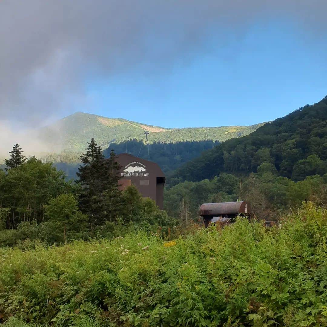 栂池高原スキー場さんのインスタグラム写真 - (栂池高原スキー場Instagram)「おはようございます。 つがいけゴンドラの朝一情報です。  天候　くもり 気温　19℃ 風速　0m/s  栂の森から上は雲抜けていそうです。  皆様のご来場をお待ちしております。  #中部山岳国立公園 #栂池自然園 #北アルプス #白馬山麓 #長野県 #白馬つがいけWOW！ #白馬 #栂池高原スキー場 #栂池高原 #栂池 #ロープウェイ #つがいけマウンテンリゾート #tsugaike #hakuba #絶景 #子連れ #家族の時間 #ファミリー #こどもとおでかけ #トレッキング #キャンプ #ドッグラン #アクティビティ」8月21日 7時03分 - tsugaike_kogen