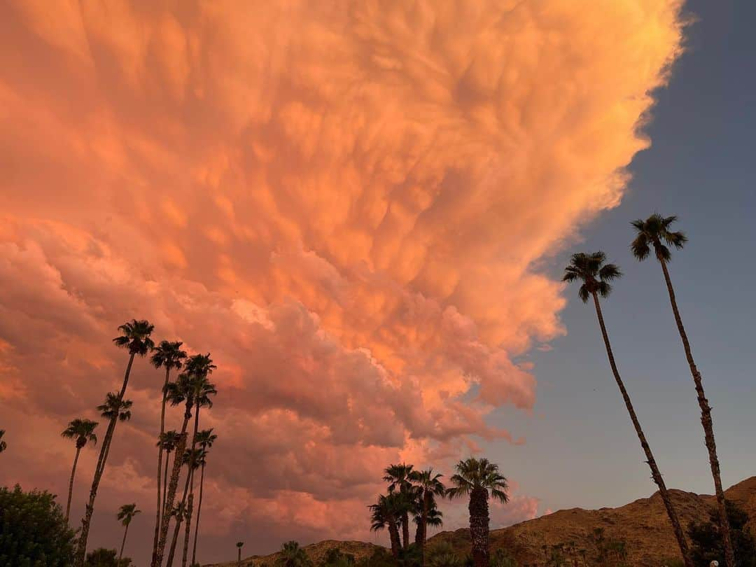 メッチェン・アミックさんのインスタグラム写真 - (メッチェン・アミックInstagram)「The front of #hurricanehilary comin in… Swipe for the spectacular colors #nofilter - Plz stay safe everyone! Keep checking on each other.」8月21日 8時12分 - madchenamick