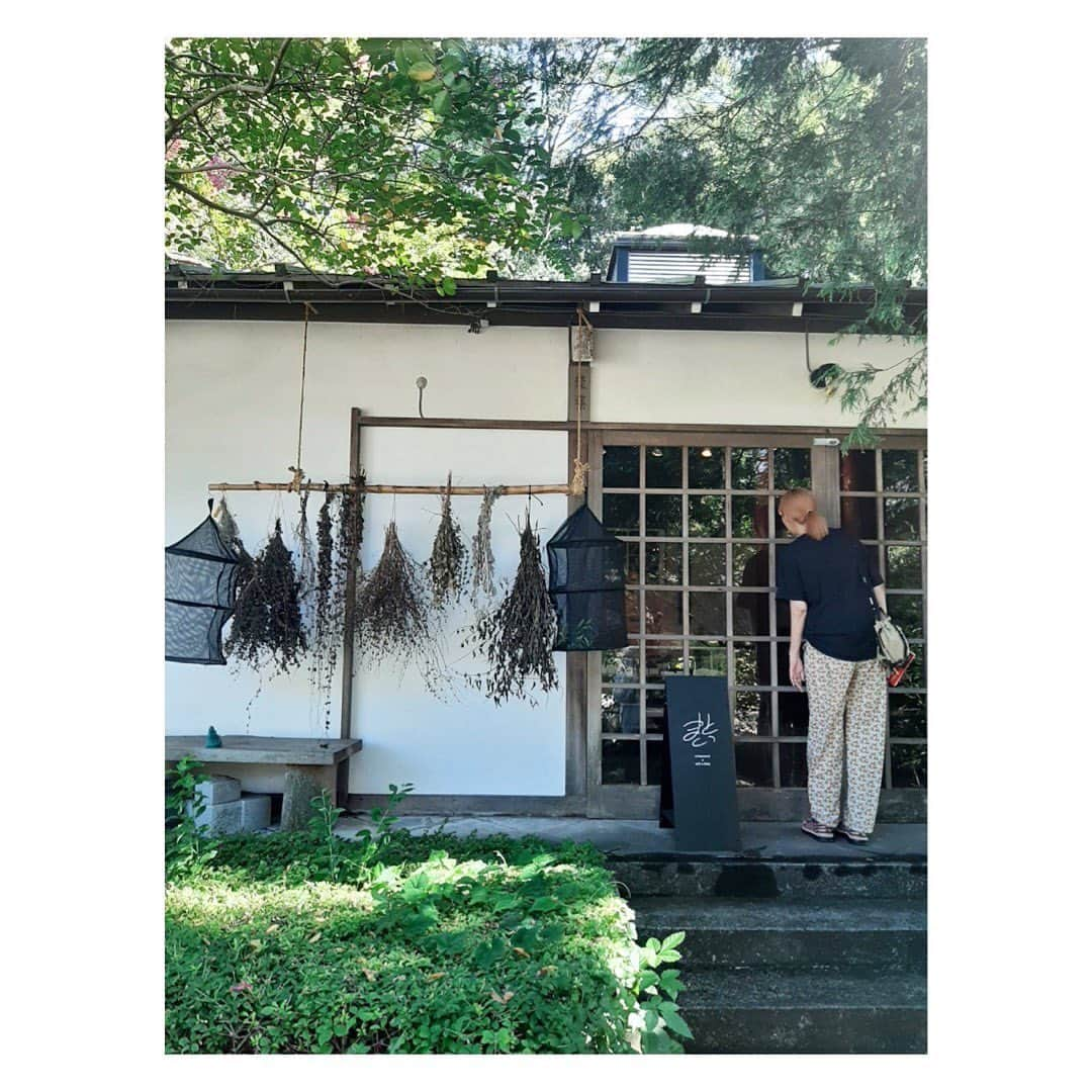 田辺あゆみさんのインスタグラム写真 - (田辺あゆみInstagram)「🪷 何日か前の〜です。 地元、薬師池公園の大賀ハスが見頃で、夕方ちらりと寄りました。 開いてる大賀ハスはもう数十年見れてません🙃 朝行かないと閉じてしまうからねえ。 でも蕾でもかわいい🥰🪷  ひさなとなおみが遠くまで足を延ばして来てくれ、お昼はみんなで簗田寺に。 心も身体もリセットされるような美しい精進料理ですっかり整ったところに、坐禅体験のお誘い。 あまり時間がなく短縮コースだったけど、次はゆっくりやってみたい🧘‍♀️」8月21日 8時15分 - _ayumitanabe_