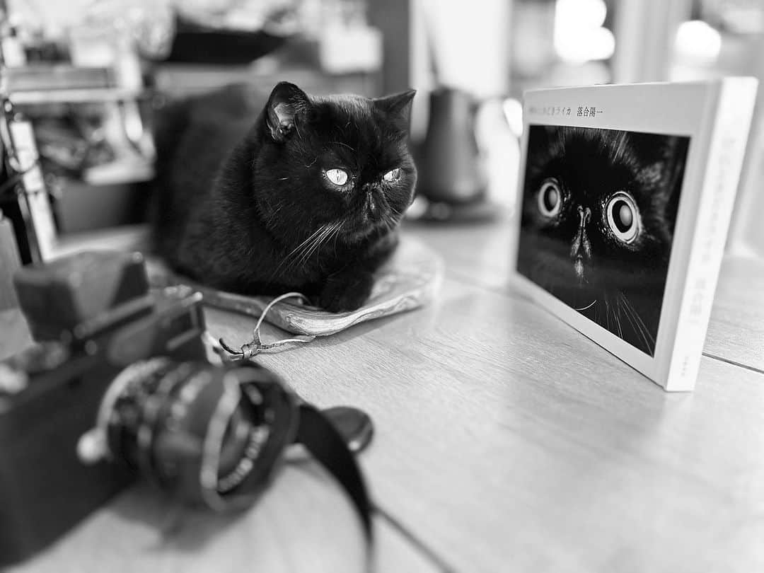 落合陽一のインスタグラム：「#yoichiochiai」