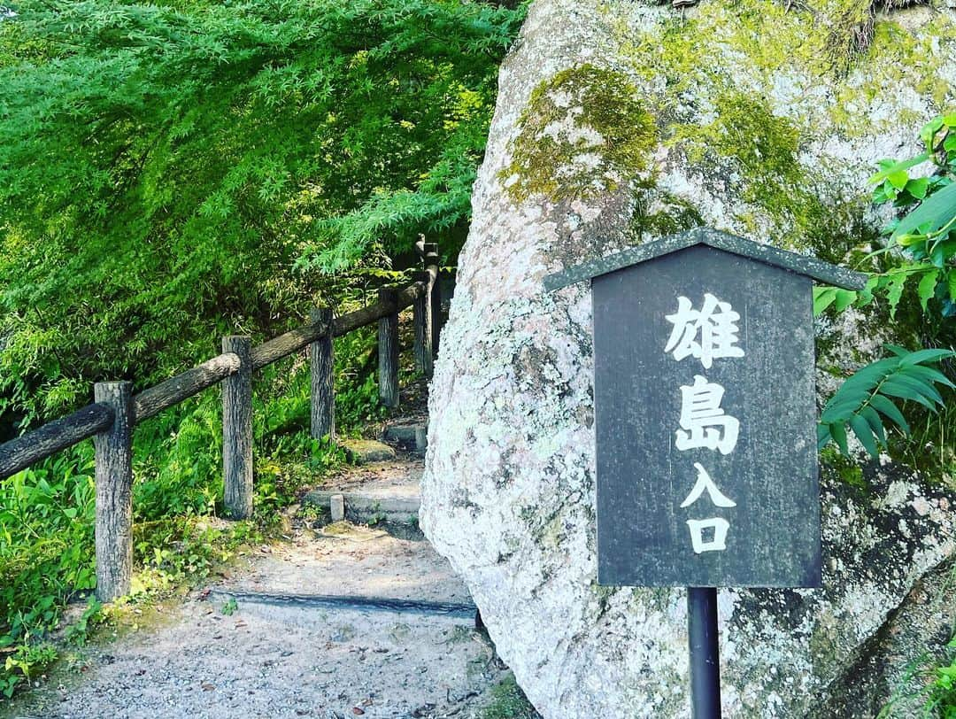 正隨優弥さんのインスタグラム写真 - (正隨優弥Instagram)「一人旅で松島！ 英気を養う旅完了！」8月21日 17時49分 - zui.l.zui