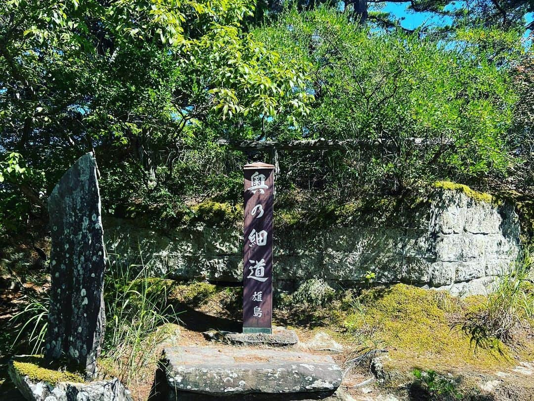 正隨優弥さんのインスタグラム写真 - (正隨優弥Instagram)「一人旅で松島！ 英気を養う旅完了！」8月21日 17時49分 - zui.l.zui