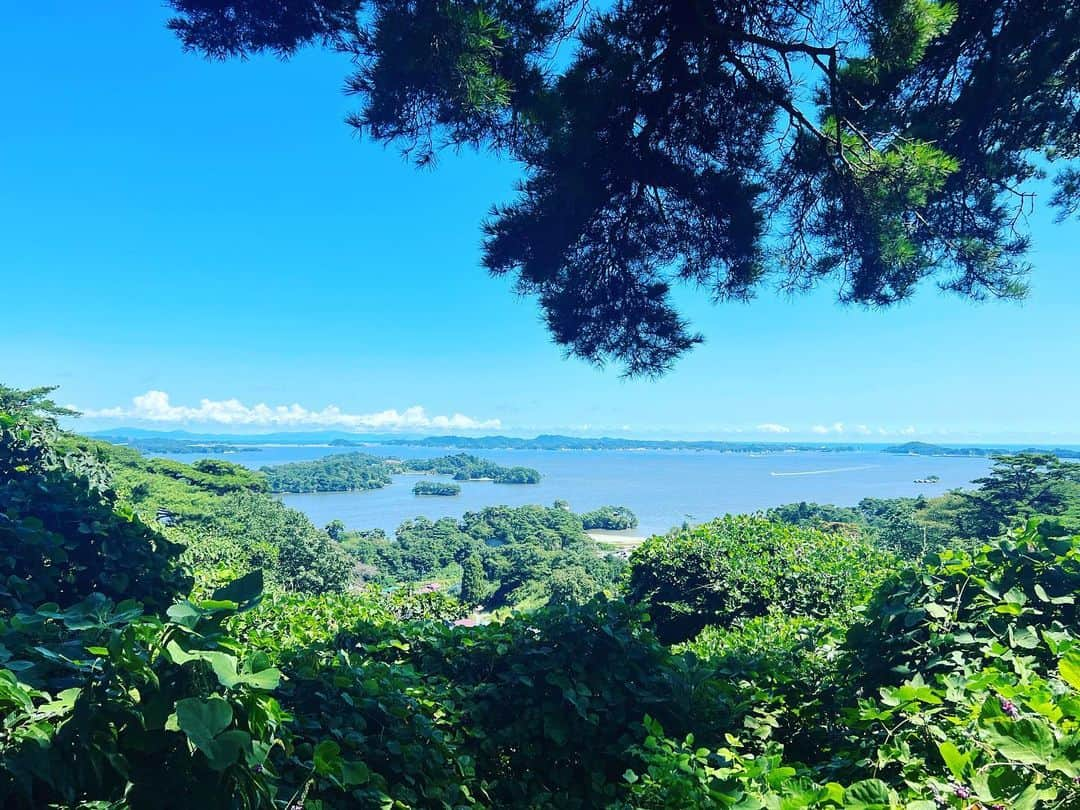 正隨優弥のインスタグラム：「一人旅で松島！ 英気を養う旅完了！」