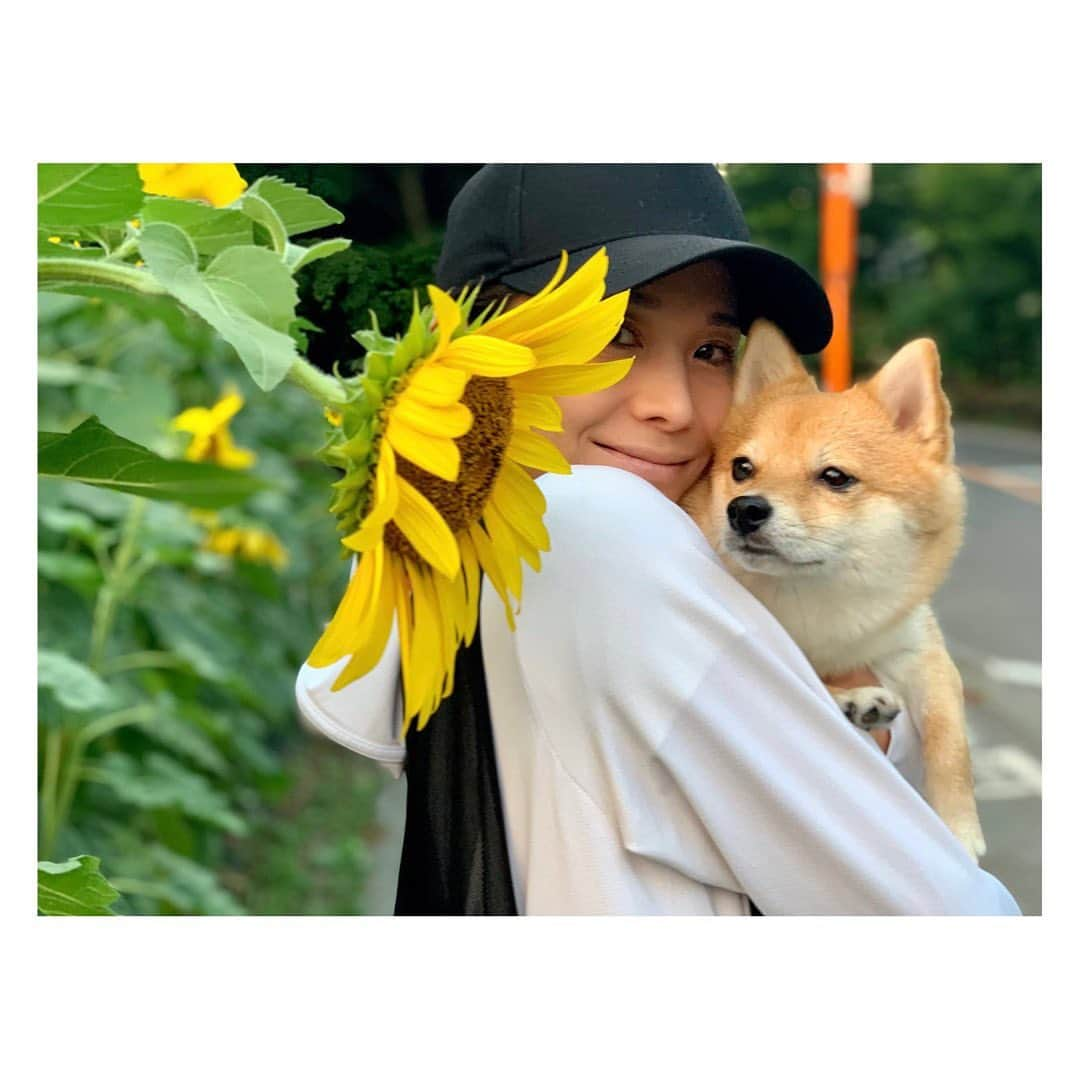 陽月華さんのインスタグラム写真 - (陽月華Instagram)「☆  残暑お見舞い申し上げます。  この暑さに突然変化するお天気でございます。  どうかどうか どうぞ ご自愛くださいませ。  わたしも自分を労わるという名の甘やかしをしながら ご機嫌な方向へ舵取りして すごしたいと思います。  るんもね♪  #2023  #残暑お見舞い申し上げます   #るん  #犬 #dog #dogstagram #dogslife #doglife #dogs #doglifestyle #dogstagram  #dogphoto #dogphotography  #dogphotoshoot #photography」8月21日 17時51分 - hizukihana_official