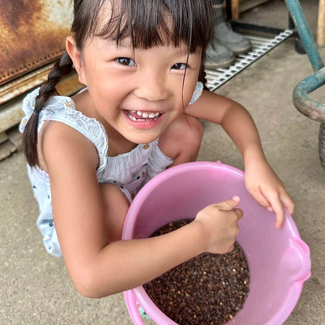 のインスタグラム：「自社栽培のお蕎麦屋さんの畑に そばの種を蒔きました💁‍♀️ 本来は機械で蒔くそうですが、乃々佳が手で蒔く分を残しておいてくれました🫘 「おそばの実ってこんなに固いんだねー！」 11月の収穫が楽しみです🎶  #村方乃々佳 #ののちゃん #ののかちゃん #ののちゃんねる #nonokamurakata #노노카 #NONOCHAN #夏休み」