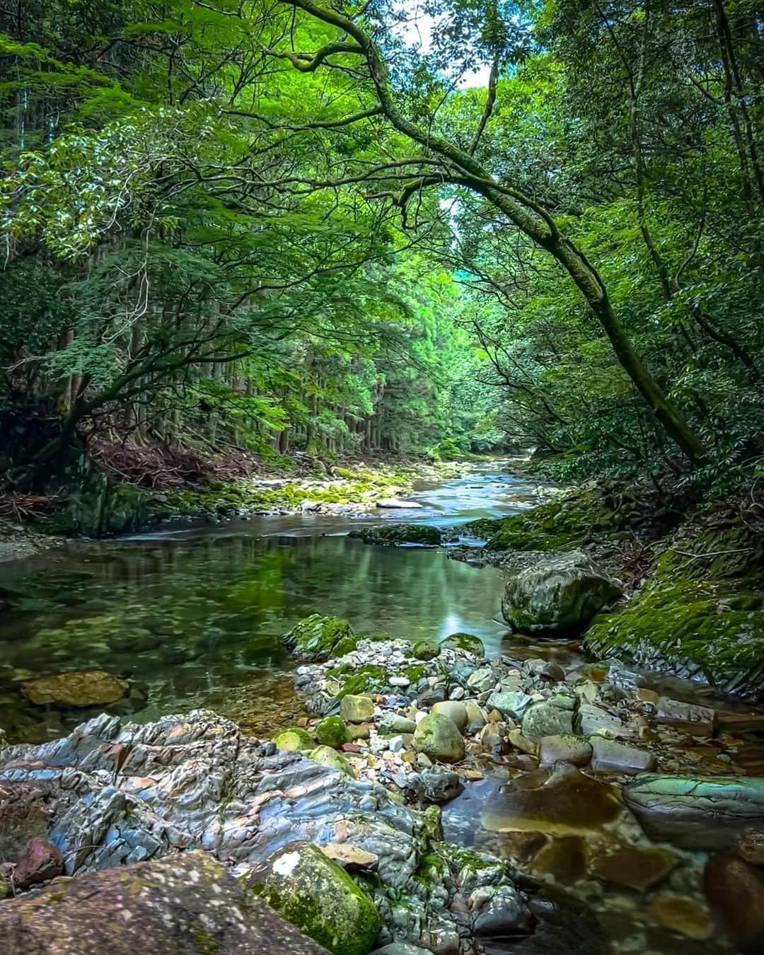 Visit Wakayamaのインスタグラム：「. Just looking at the cool waters around Madara-iwa Rock near the town of Susami, will refresh your senses. 📸 @hajime.sakamoto 📍 Madara-iwa Rock, Wakayama . . . . . #discoverjapan #unknownjapan #instajapan #landscape #japan #japantrip #japantravel #beautifuldestinations #wakayama #wakayamagram #explore #adventure #visitwakayama #travelsoon #visitjapan #travelgram #stayadventurous #igpassport #explorejapan #lonelyplanet #sustainabletravel #bucketlist #roadslesstraveled #summerinjapan #summerbreak #rockformations #forestbathing #madaraiwa #madararock #susami」