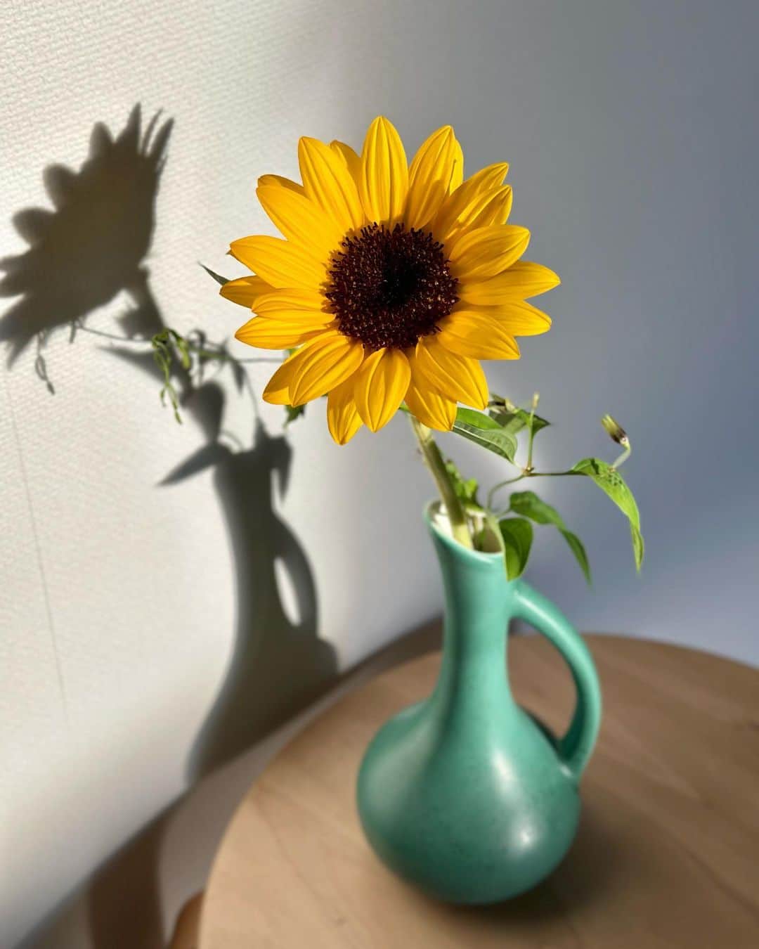 のインスタグラム：「お店に入った瞬間、この花瓶様と目が合ってしまった。  『転職の魔王様』第6話 天間聖司、本日から登場です。 見てね👼 #転職の魔王様」