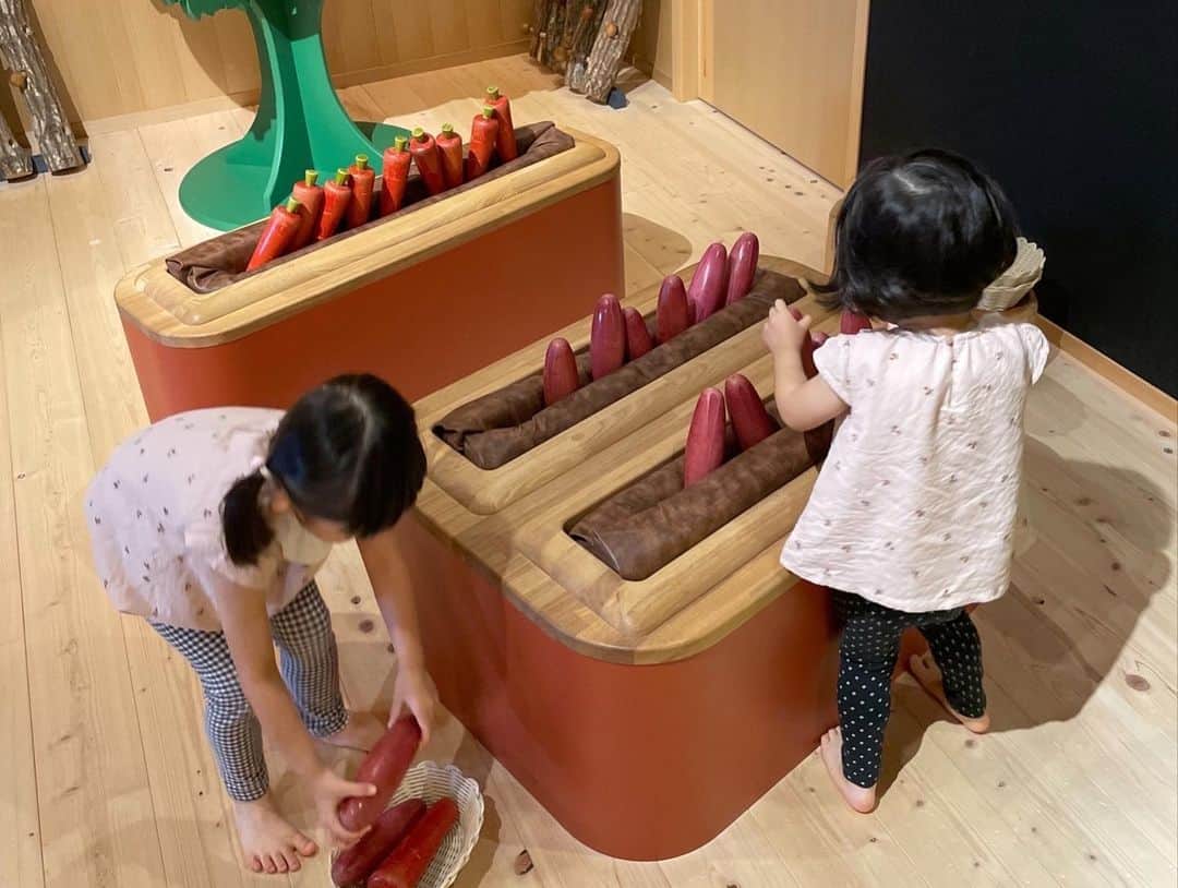 藤澤恵麻さんのインスタグラム写真 - (藤澤恵麻Instagram)「⁡ ⁡ 『讃岐おもちゃ美術館』を訪れました。 ⁡ 木の温もりを感じる空間には、遊びきれないほどのおもちゃが沢山。どれも手作り感があって、優しい手触りの物ばかり。 子供達は大喜びで裸足で走り回り、様々なおもちゃを手や身体を使って堪能していました。 ⁡ 中でもユニークなのが、讃岐うどん屋さんごっこができるコーナー。長女は上手にうどんを作って振る舞ってくれました。 ⁡ 懐かしいおもちゃも、新しいおもちゃも子供達にとってはどれも新鮮なようで、大人も一緒になって楽しめる素敵な場所でした。 ⁡ ⁡ #恵麻 #ema #讃岐おもちゃ美術館 #おもちゃ #木のおもちゃ #高松 #キッズ #親子 #楽しい」8月21日 18時48分 - ema_fujisawa_official