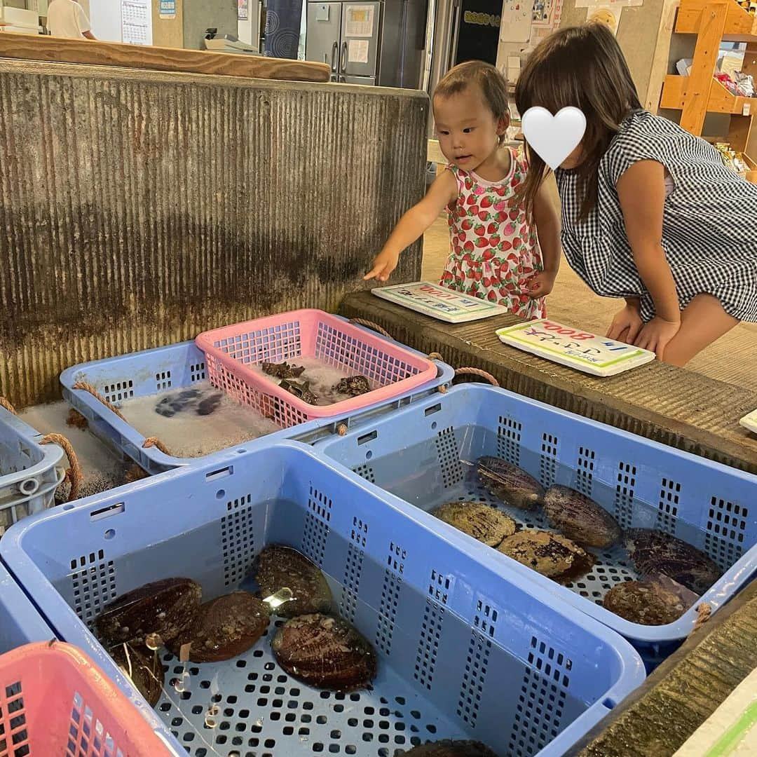 水野佑香さんのインスタグラム写真 - (水野佑香Instagram)「・ 2023夏の思い出メモ  お盆休みに行った館山旅行。  台風が近づいていて、 今回は天気ダメだ…と思ってたけど お天気にギリギリ恵まれました☀️  初日は子供達が楽しみにしてた海🏖️  #北条海岸   海の家のかき氷がふわっふわで 美味しかった🍧❤️  2日目はまだ天気が保っていたから 午前中にパワースポットへ  #安房神社   ここは日本三大「金運」神社⛩️  主祭神である天太玉命は 日本のすべての産業を創造した神で 商売繁盛、事業繁栄だけではなく 必勝祈願にも御利益があるらしい✨  3日目は 天気が不安定だったから 道の駅ツアーしながらドライブ🚗  館山の美味しい海鮮や町中華を 食べたり(鯵フライ、最&高！)  カラオケで歌ったり🎤 夜中3:00まで語ったり⭐️  大好きなあゆこー夫婦と また楽しい思い出を作れたよ☺︎ ❤️  旦那さんが旅行前日に まさかの足首を剥離骨折して 次女をこーちゃんが抱っこしてくれたり、  あゆが甘えん坊の子供達とかくれんぼしてくれたりして、  子供達は2人を「ともだち」と 思っているらしい😂←日記から引用w   今回も楽しい時間をありがとう❤️  #館山  #館山旅行 #道の駅ちくら潮風王国  #パワースポット神社  #夏休み  #家族でお出かけ  #千葉旅行  #japantrip  #tateyama  #なかよし姉妹」8月21日 18時53分 - mizuno_yuka