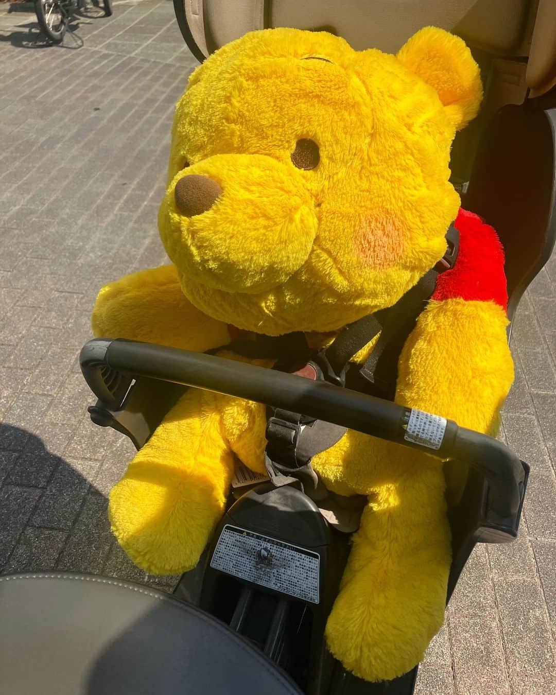 りんか & あんな（ツインガールズ）さんのインスタグラム写真 - (りんか & あんな（ツインガールズ）Instagram)「わたしの自転車の後ろ… 使い道たくさんあったわ🤭❤️」8月21日 10時29分 - matsuko0621