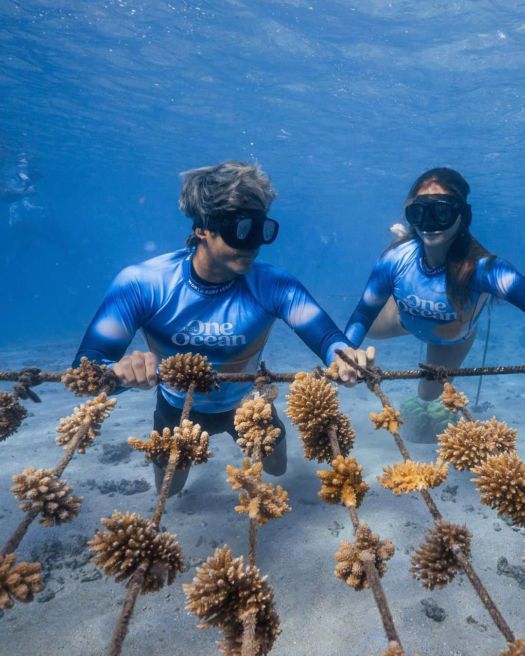 五十嵐カノアさんのインスタグラム写真 - (五十嵐カノアInstagram)「underwater laboratory in tahiti 🌴」8月21日 10時37分 - kanoaigarashi