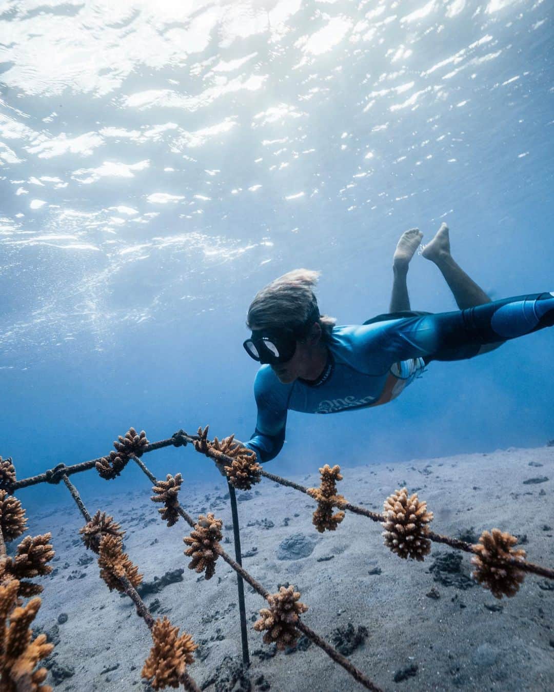 五十嵐カノアのインスタグラム：「underwater laboratory in tahiti 🌴」