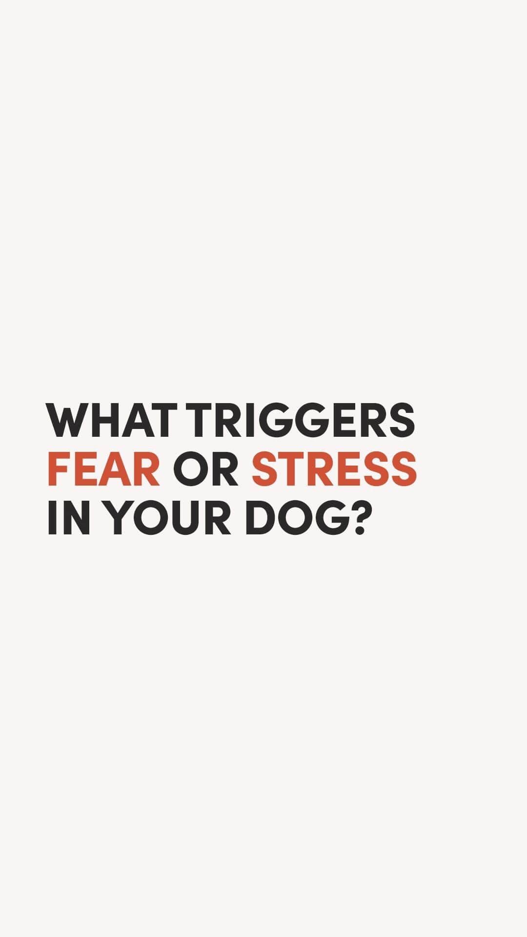 Geordi La Corgiのインスタグラム：「What’s your dog’s fear trigger?   Geordi was always a “bombproof” dog – nothing ever seemed to faze him... Until a couple of years ago. He suddenly started becoming very scared when a nearby dog coughs, reverse sneezes, or vomits.   I don’t know what caused this, and I don’t know how to “fix” it. All I can do is to help him recover from it quicker with various soothing methods. 🥺  Sometimes it’s easy to get frustrated when they exhibit an “irrational” fear like this. Some dogs may react by trembling and running away – and some dogs may react by barking and snapping. But remember – fear is an emotion, and an emotion does not always make sense.   Dogs deserve our empathy and safe spaces. 💛」