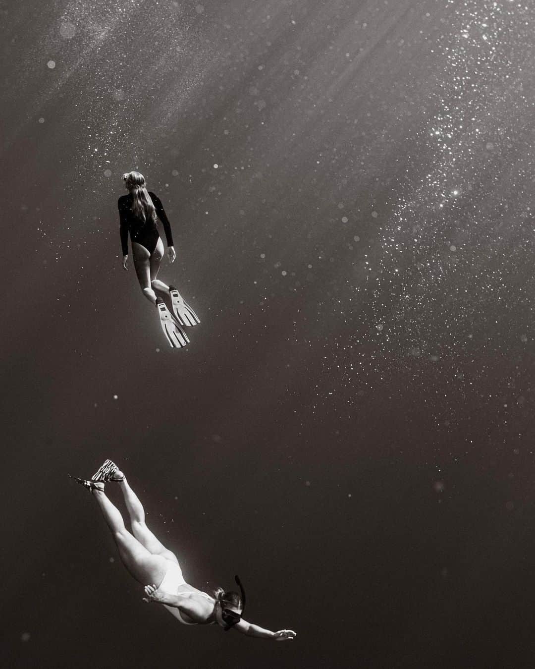 ローラ・エンバーのインスタグラム：「Pinch me moment 🥹 Nature, our greatest teacher 🐋 @be_ryder」