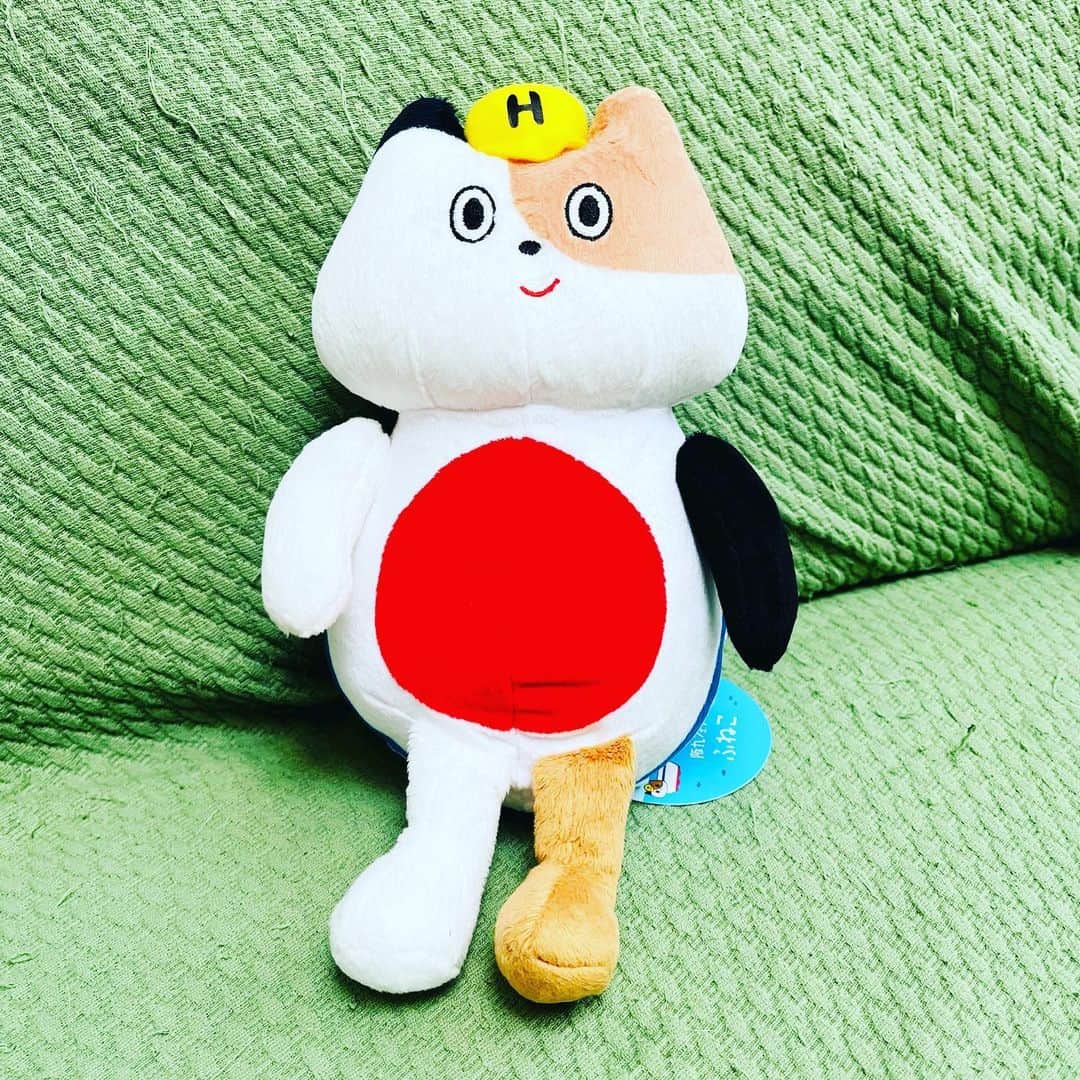 のインスタグラム：「夏休みに完全にやられてしまったのは阪九フェリーのふねこであります。アニメのCMがあるので、YouTubeで見た（どんだけ）。東京でもふねこのキャップかぶってます😂」