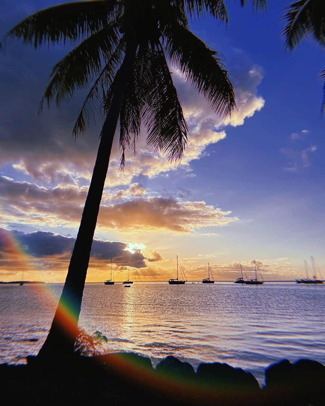 フェリシティー・パルマティアーさんのインスタグラム写真 - (フェリシティー・パルマティアーInstagram)「TAHITI PART 1.   drone image // @bradylaw」8月21日 11時46分 - flickpalmateer