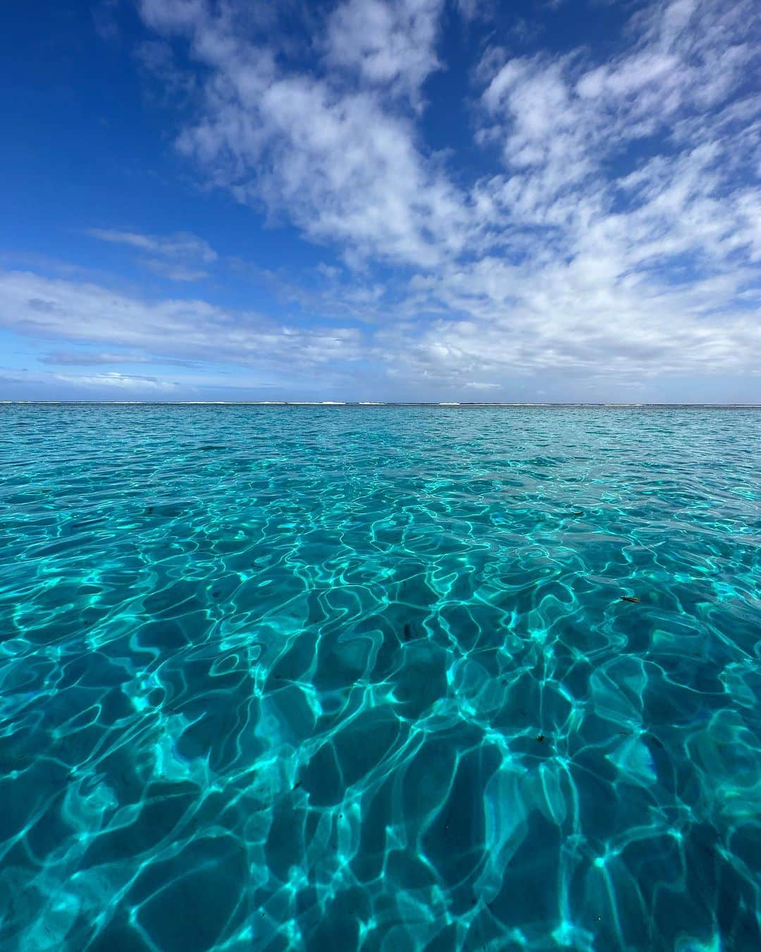 フェリシティー・パルマティアーさんのインスタグラム写真 - (フェリシティー・パルマティアーInstagram)「TAHITI PART 1.   drone image // @bradylaw」8月21日 11時46分 - flickpalmateer