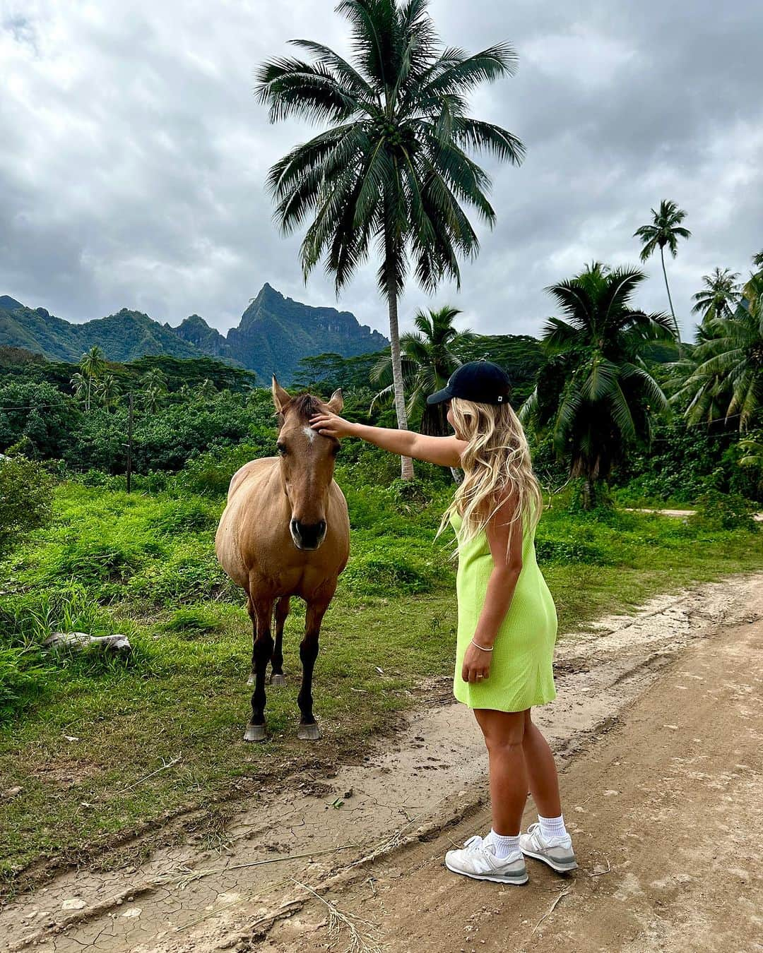 フェリシティー・パルマティアーさんのインスタグラム写真 - (フェリシティー・パルマティアーInstagram)「TAHITI PART 1.   drone image // @bradylaw」8月21日 11時46分 - flickpalmateer