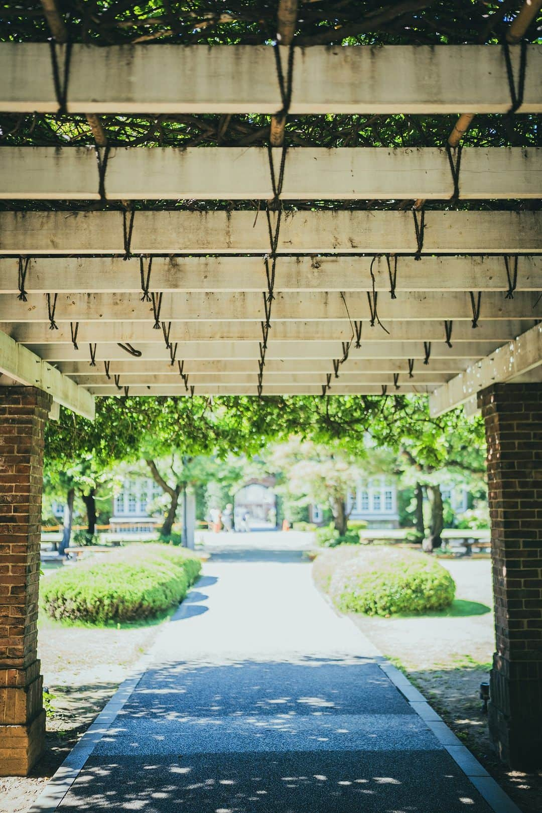 立教大学さんのインスタグラム写真 - (立教大学Instagram)「夏の強い日差しを浴びる池袋キャンパスの風景を切り取りました。 #立教大学 #立教 #立大 #rikkyo #rikkyouniversity #japanuniversity #大学 #大学生 #大学生活 #大学受験 #coregraphy #ファインダー越しの私の世界   ©立教大学写真部」8月21日 12時04分 - rikkyouniv