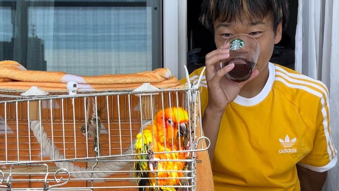 松下シュートさんのインスタグラム写真 - (松下シュートInstagram)「. なんかかわいい🦜❤️  #夏 #夏休み #ぼくのなつやすみ #3才 #インコ #ことりまつり #鳥 #bird #コガネメキシコインコ」8月21日 13時19分 - pana_nowonsale