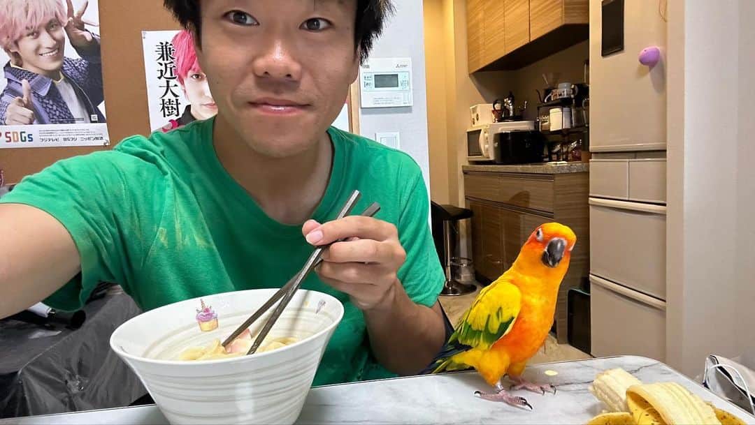 松下シュートさんのインスタグラム写真 - (松下シュートInstagram)「. なんかかわいい🦜❤️  #夏 #夏休み #ぼくのなつやすみ #3才 #インコ #ことりまつり #鳥 #bird #コガネメキシコインコ」8月21日 13時19分 - pana_nowonsale