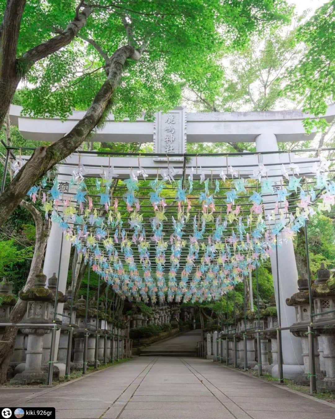 兵庫県さんのインスタグラム写真 - (兵庫県Instagram)「兵庫県公式インスタグラム『love_hyogo』です。  love_hyogoでは皆さんが #lovehyogo のハッシュタグをつけて投稿していただいた写真を紹介させていただきます。   本日のピックアップは ＠kiki.926gr_さんのお写真です👑　 ハッシュタグをつけての投稿ありがとうございます🙏🏻   こちらは、高砂市にある鹿島神社でのお写真です📷✨ 「一願成就」「学業成就」の神様としても有名な鹿島神社では、本殿へと向かう参道に、赤・青・黄色のカラフルな風車のトンネルとミストシャワーが9月16日（土）まで設けられています⛩️ 見てるだけで涼しそうですね😄🎶   「暑い中、神社に参拝していただいているので、少しでも涼を感じ、心癒やしてもらえたら」と宮司さんのアイデアで、風車は雨にも強いクリアファイルとストロー、竹ひごなどを使ってすべて手作りだそうです💞 今年はこれまでより数を増やし、507個の風車が出迎えてくれます😯 風が吹くと5色のパステルカラーの風車がクルクルと回り、ミストシャワーとともに涼を演出してくれるんでしょうね🍃🍃   兵庫にまつわる投稿は #lovehyogo のハッシュタグをお願いします👈   This is "love_hyogo", the official Instagram of Hyogo Prefecture. We will introduce photos posted by you with the hashtag #lovehyogo on love_hyogo.   Today's pick is a photo by ＠kiki926.gr Thank you for posting with the hashtag!  Please use the hashtag #lovehyogo for Hyogo related posts!  #兵庫県#兵庫#hyogo #lovehyogo#love_hyogo #japan #photooftheday#followme #instagood #photography #picooftheday #happy    #高砂市 #鹿島神社 #風車 #ミストシャワー #幸せのひととき #フォトジェニック #自慢したい兵庫の景色」8月21日 13時33分 - love_hyogo