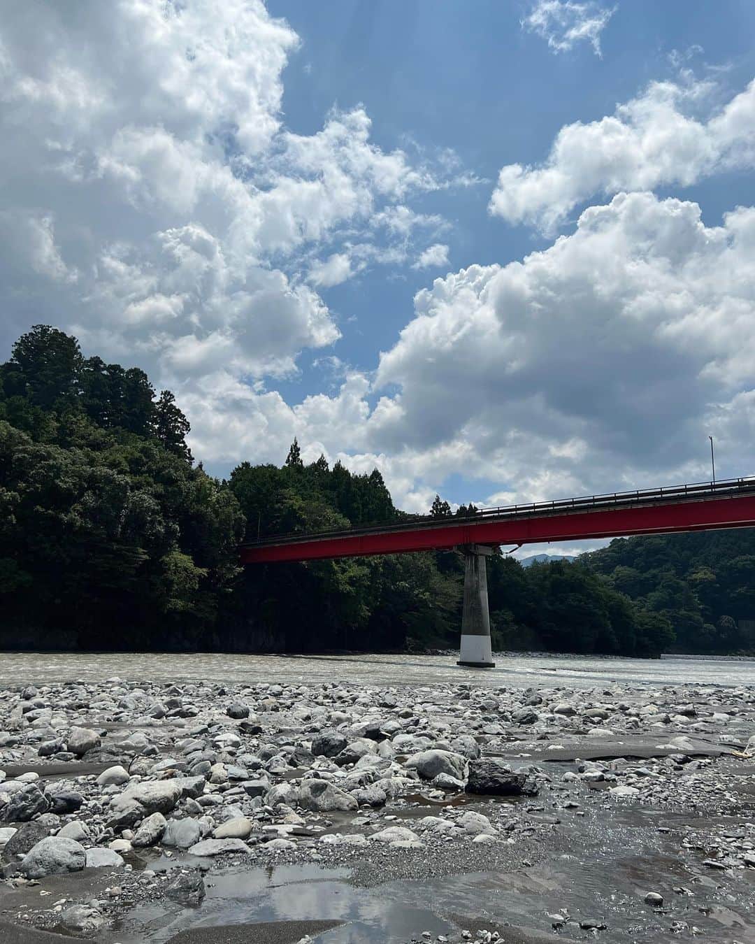 岸本加世子さんのインスタグラム写真 - (岸本加世子Instagram)「故郷、大井川の湧水が流れ込むスポットの水は氷水のような冷たさで、殿君も気持ち良さそうです。 ヤマメもお茶も風景も人も全てが素晴らしいです。 #大井川」8月21日 13時59分 - kayokokishimoto