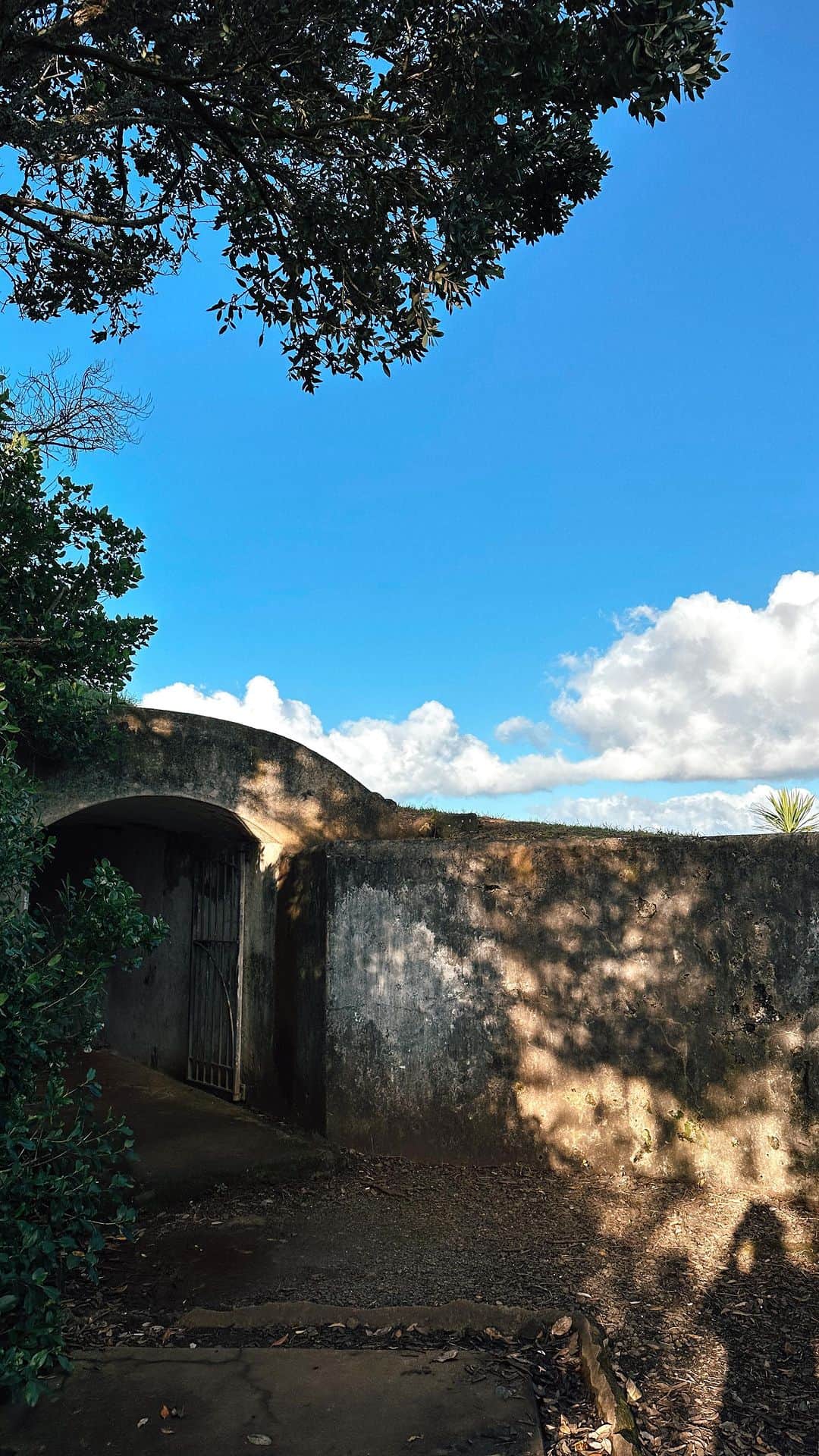 デイジー・クレメンタイン・スミスのインスタグラム：「Devonport is further proof that New Zealand is actually Neverland. Compete with tunnels for lost boys and mermaid cove ✨」