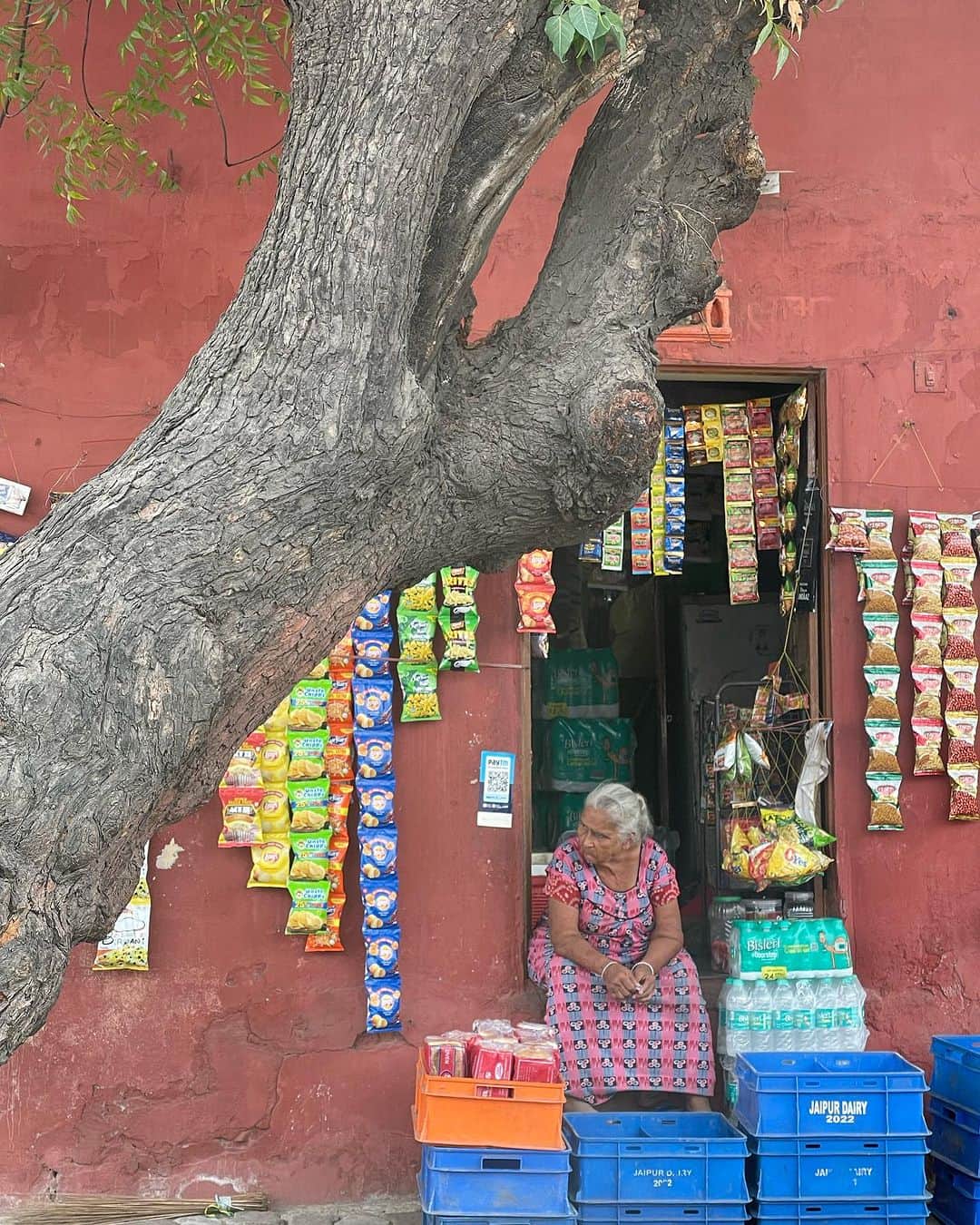 渋木さやかさんのインスタグラム写真 - (渋木さやかInstagram)「ジャイプルという街にいます。  建物やサリーの色彩が豊かで 華やかな気持ちになる。  インドの伝統工芸のブロックプリント。手彫りの木版で一つ一つインクを押して幾重にも重なった柄が大好きで、作ってるところが見たくて、ほぼ勢いでジャイプルにやってきました。  ⠀ なんなら、何か作りたいけど、 特にその予定もありません。😂  子連れ旅なので、ドングリが喜びそうな象さん🐘に乗ってみたり。終わったあとに「Googleで星つけて」って、どこ行っても言われる。😂(大事だよね。)  ドングリ一緒だから、 あまり詰め込まずにのんびり動いてます。 ⠀  #しぶさやドングリ旅　#ジャイプル #インド子連れ旅 #インド旅 #india #jaipur」8月21日 15時04分 - yoga_citta