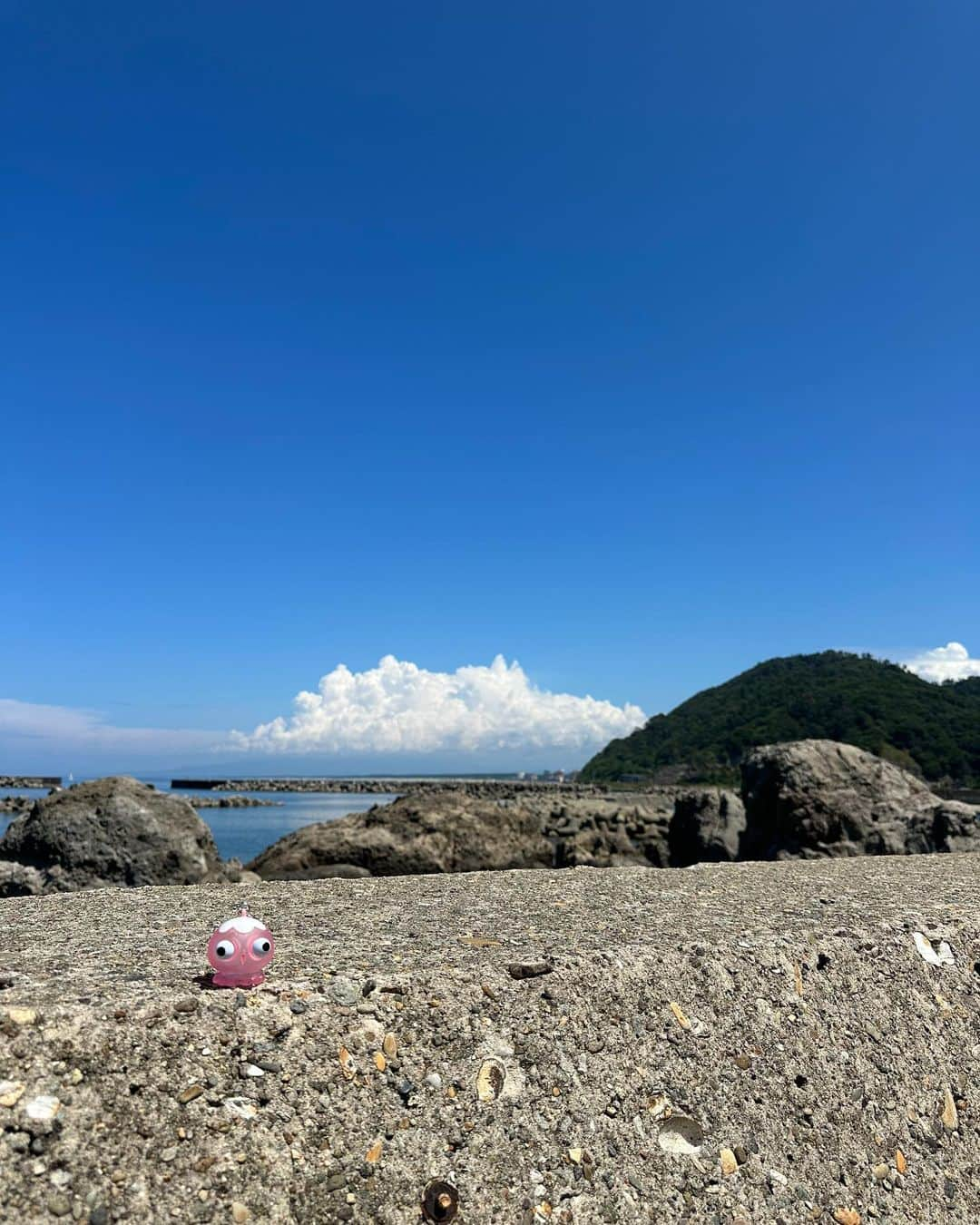 美月さんのインスタグラム写真 - (美月Instagram)「祖父母の家へ帰ってきた 伊師さんと一緒に山形観光も 祖父母元気そうで安心😌 コロナでなかなか行けなかったから 行けてよかった 赤川花火大会も海月水族館も感動 みんなはお盆休み何した〜？🌱 . #赤川花火大会 #山形観光 #加茂水族館  #美月」8月21日 15時05分 - lxxe_myself.8