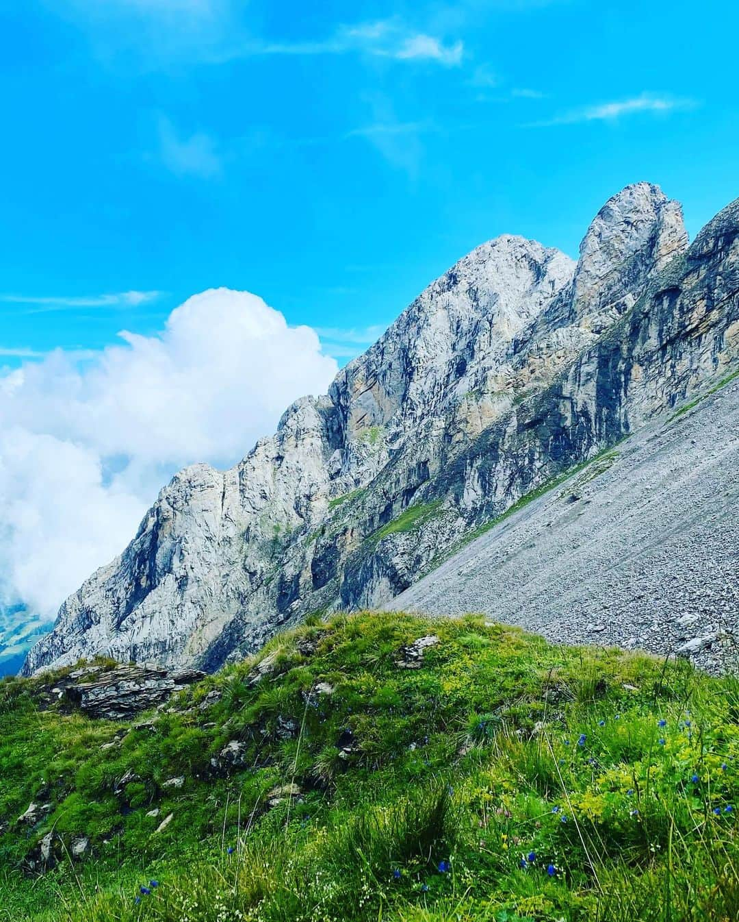 ユナ・デュフネさんのインスタグラム写真 - (ユナ・デュフネInstagram)「⛰️Entre Lac et Montagnes 🫧 . . . #France #Mountain #hikingtrails #Lake #Blue #Summer #summer2k23 #frenchalps #Green #Break」8月21日 15時48分 - youna_d