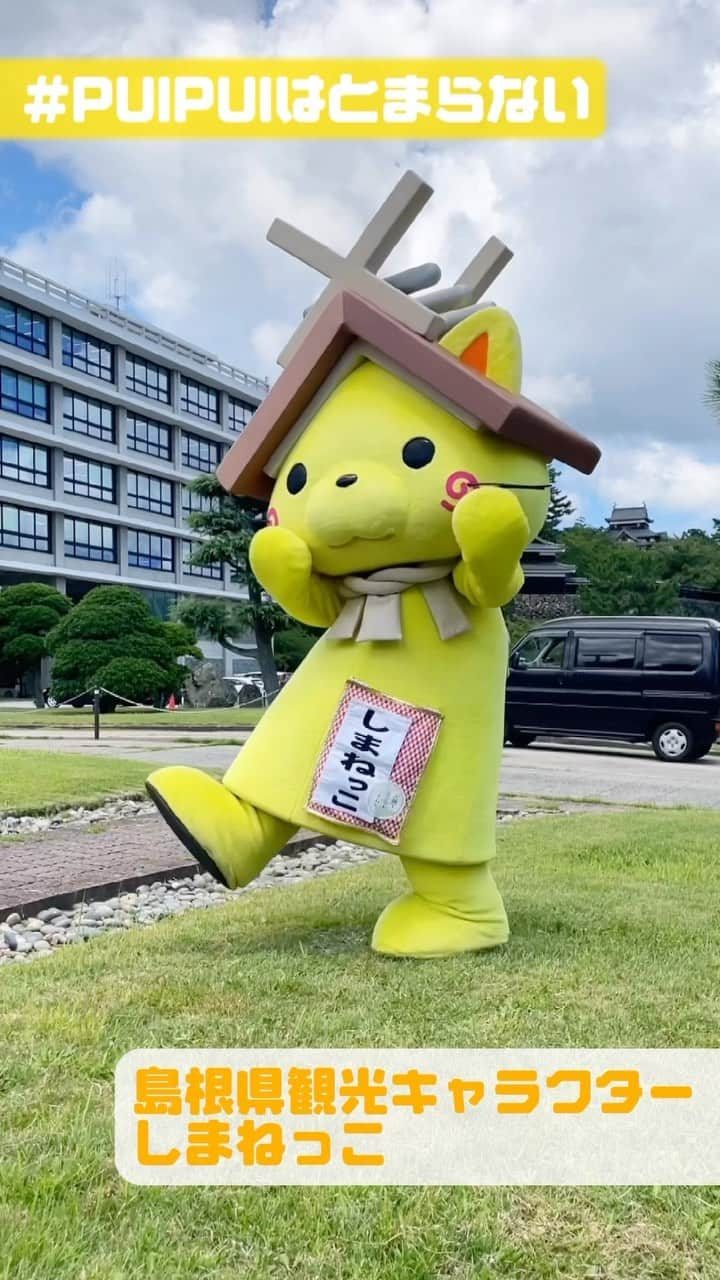 ももくろちゃんZ「ぐーちょきぱーてぃー」のインスタグラム：「⛩️ 島根県観光キャラクターのしまねっこが #ももくろちゃんZ の｢PUI PUI はとまらない｣振り付けダンスにチャレンジ⁉️😳  しまねっこらしさ全開のかわいい動画になってます⛩️ みんなも一緒に踊ってみてね☺️  #しまねっこ #島根県 #PUIPUIはとまらない #ぐーちょきぱーてぃー #ももクロ  ━━━━━━━━ ｢PUI PUI はとまらない｣動画投稿キャンペーン実施中❣️  「PUI PUI はとまらない」の音源をBGMに使用して、なんでもありの動画を「#PUIPUIはとまらない｣をつけてTikTok又はInstagramにご投稿ください💡  動画内容例 ・「PUI PUI はとまらない」踊ってみた / 歌ってみた ・ひたすら走っている姿 ・おもちゃで遊んでいる様子 ・すやすや寝ている様子 など動画内容は自由です🚗💨  投稿してくれた方の中から抽選で66名様に「PUI PUI はとまらない」オリジナルデザイン図書カード（500円分）をプレゼント🎁  詳細はHPをチェック✅ ━━━━━━━━」