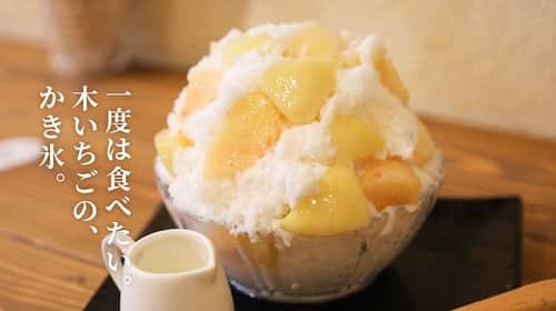 けんさむのインスタグラム：「けんさむ🐶です🍧🍑 【木いちご】人気洋菓子店の#かき氷 という魔力について@熊本#光の森 📍#木いちご  いいね👍フォロー👯‍♂️Thankyou😇✨ 皆さんの熊本のお気に入りを教えてください🌿 DM💭待ってます🐶🎶 . #けんさむの熊本紹介 #熊本 #熊本グルメ #くまモン #けんさむ #熊本観光 #kumamoto #熊本ランチ #熊本スイーツ #桃活」