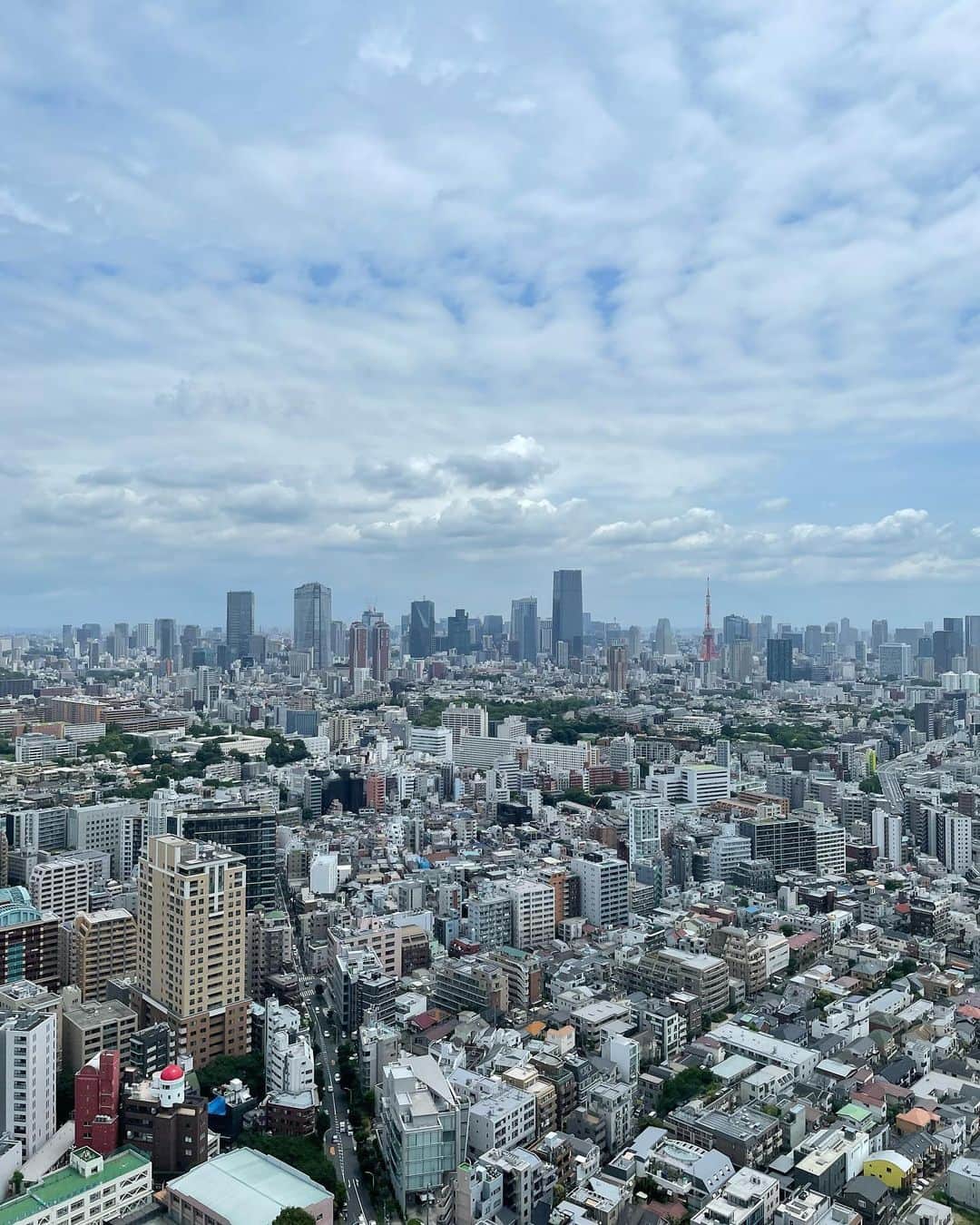 ロングレインさんのインスタグラム写真 - (ロングレインInstagram)「39階からの眺めは、東京タワーやレインボーブリッジなど東京の様々な景色を見ることが出来ます。特に夏のランチタイムは、気持ちよく晴れた綺麗な景色をお楽しみ頂けます！  #longrain #longraintokyo #thaifood #ロングレイン #タイ料理 #アジアン料理 #アジアンフード #タイレストラン #カオヤム #パッタイ #恵比寿 #恵比寿ガーデンプレイス #東京 #東京グルメ #恵比寿ランチ #恵比寿ディナー #夜景レストラン #夜景ディナー #夜景デート #夜景スポット #東京タワー #東京タワーが見える店 #東京タワー夜景 #東京タワー🗼 #tokyorestaurant #tokyo #ebisu #ebisugardenplace #nightview #tokyotower」8月21日 17時00分 - longraintokyo