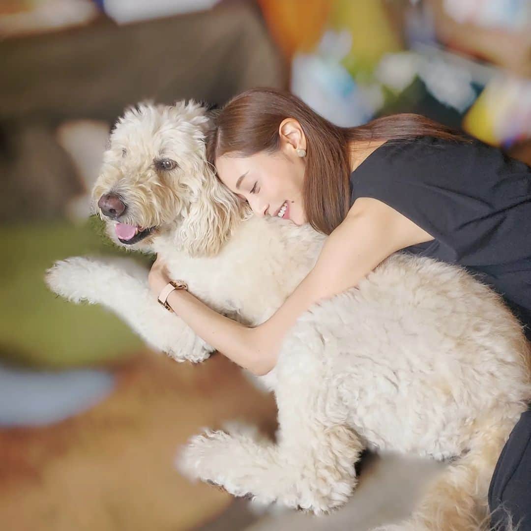池田夏希さんのインスタグラム写真 - (池田夏希Instagram)「たまらない2ショット🐶❤🐶 . ティーカッププードルとゴールデンドゥードル😊 大きさの違いが凄い！！(笑) 2匹共に10歳で同い年なんです✨ どちらも可愛すぎる😍 とても癒されました♡ . #愛犬 #こむぎ #ティーカッププードル #10歳 #同い年 #シニア犬 #ゴールデンドゥードル #もふもふ #癒し #大きさの違い #たまらない可愛さ #犬会 #わんちゃん大好き #愛犬との時間 #愛犬のいる生活 #いぬすたぐらむ #わんすたぐらむ #mydog #komugi #teacuppoodle #10yearsold #seniordog #goldendoodle #healing #cute #love #doglover #dogstagram #dogsofinstagram」8月21日 17時31分 - natsukiikeda624
