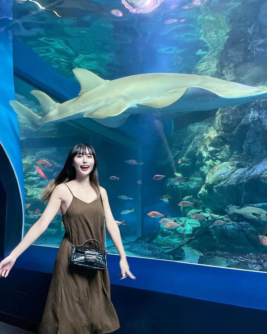 生田千秋さんのインスタグラム写真 - (生田千秋Instagram)「水族館ハシゴした🐠✨　 3枚目笑いすぎ🫣」8月21日 17時33分 - maechi_0815