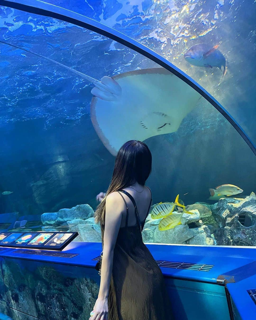 生田千秋のインスタグラム：「水族館ハシゴした🐠✨　 3枚目笑いすぎ🫣」