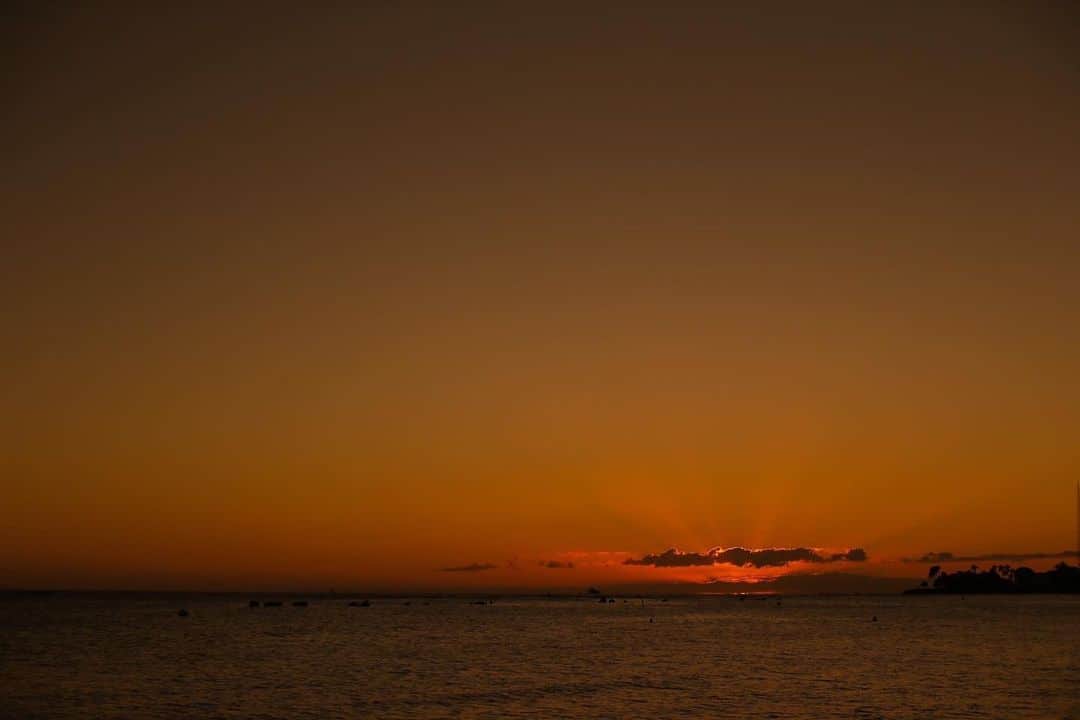 覚王山ル・アンジェ教会さんのインスタグラム写真 - (覚王山ル・アンジェ教会Instagram)「■■MAUI STRONG■■    私たちTAKAMI GROUPは、マウイ島で発生した大規模火災により被災をされた方々への寄付を募っております。   既にグループ会社「Ocean Investments,LLC」 は、現地の支援団体 『HAWAI’I COMMUNITY FOUNDATION：マウイ・ストロング基金』への義援金や食料品、日用品の寄付を行っています。  しかし、まだまだ 皆様のご協力が必要でございます！   皆様の温かいご支援をお願いいたします！    ◆お振込み◆　  みずほ銀行　 青山支店 普通預金1682810　 口座名義:高見㈱    ◆募金箱◆  覚王山ル・アンジェ教会に設置しております。 詳しくはスタッフまでお声掛けください。  皆様の温かいお気持ちは私たちが責任をもって『マウイ・ストロング基金』に義援金として寄付をいたします。   2012年にオープンした The Terrace By The Sea 53 By The Seaには、 マウイ出身のシェフ・Pastor(牧師)・カメラマンなど 『共に働く仲間たち』、 そして 甘くてジュ－シーなマウイオニオンにマウイゴールド(パイナップル)、クラ・ストロベリーなど『素晴らしい食材』、 結婚式を彩るマウイ・ラベンダー、など マウイからの恵みは、日々お客様との思い出を紡いできてくれました。   明治元年よりハワイと日本の歴史は長く、現在マウイには1.1万人の日系人が暮らしており、そこには文化・経済・歴史など深い絆があります。 一刻も早く普段の生活に戻れること、そしてダイナミックな自然溢れるマウイの復興を願い、皆様と共にサポートし続けたいと思います。   #ハワイ#マウイ島 #マウイ#支援#支援金#募金」8月21日 17時33分 - kakuozan_anges