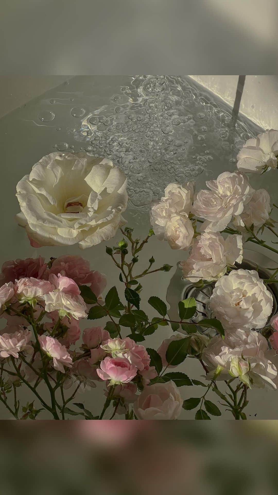 クリスティナ・バザンのインスタグラム：「My morning routine is a sacred moment of relaxation and peace, a time I cherish so much and where I love doing my little beauty and self-care rituals. I have been meticulously taking MyCollagenLift marine collagen-based complex by @mypureskin.switzerland for several months now and swearing by it. Marine collagen complex is well known for it’s amazing benefits for skin regeneration, rejuvenation, skin texture, elasticity and so much more. It’s also great for bones, joints as well as hair growth, there are so many benefits.   I mix up one sachet of MyCollagenLift in some water and drink it before breakfast, it’s so good and tastes like honey melon. MyPureSkin is a swiss brand using only top notch clean ingredients, I highly recommend it and am so happy to be partnered up with them to support their amazing product. Use my promo code kristina20 to get 20% off your purchase! I promise you’re gonna love it. 🤍」