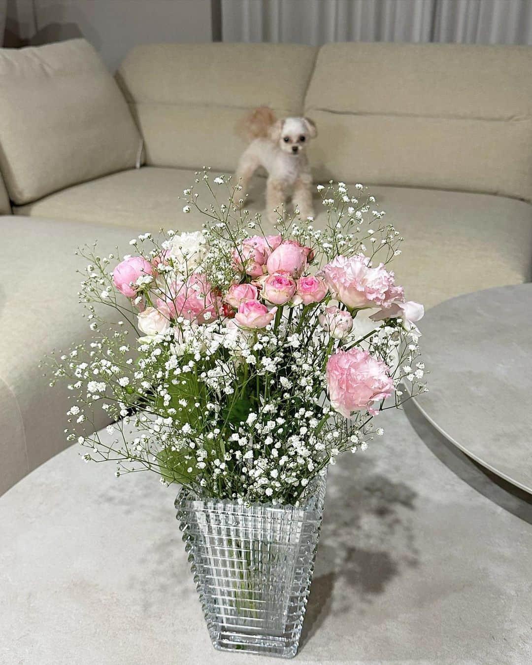 MAYUさんのインスタグラム写真 - (MAYUInstagram)「. 新しい花瓶に生けるお花をげっとしに お花屋さんに行ってきた☺️🌿🤍 . 本当は白いお花と緑が良かったんだけど 希望のものがなかったので、 ピンクのお花達とかすみ草にしたよ💐🌸 . バラと芍薬とトルコキキョウ！ 好きなお花TOP3😆✨ . . #ootd#fashion#fashionstyle#baccarat#gentlemonster#gucci#flower#flowers#japan#tokyo#japanesegirl#東京#花#お花#お花屋さん#花屋#花瓶#バカラ」8月21日 19時38分 - mayu.kina_golf