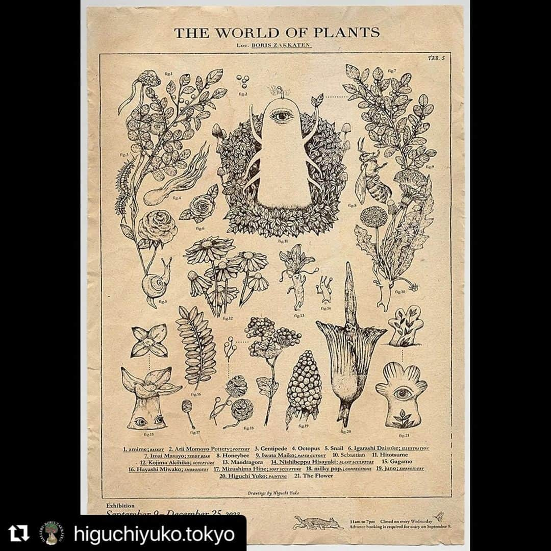 ヒグチユウコのインスタグラム：「🌱🌲🌿  #Repost @higuchiyuko.tokyo with @use.repost ・・・ . 【実店舗／次回展示のお知らせ】  「The World of Plants」  会期：2023年9月9日(土)〜12月25日(月) 場所：ボリス雑貨店 営業時間：11:00〜19:00 定休日：水曜日  ◆初日9月9日(土)は、抽選による事前予約制となります。 営業時間の11:00〜19:00の間、 １時間25名の入れ替え制でご案内します。  「初日ご来店予約」受付中 https://docs.google.com/forms/d/e/1FAIpQLSdB-MMmeWntVMVNc59qMG3a33sl__LI0fTFpBz9fO22bqflIQ/viewform  応募締切　8月31日(木)23:00まで #ボリス雑貨店 Twitterにて同様のご案内をお出ししております。 そちらからですと直接リンクへお進み頂けます。  ◆２階「Antica Libreria K」は１階と同じスケジュールで営業予定ですが、１Fギャラリー混雑時にはCLOSEさせていただく場合がございます。あらかじめご了承ください。  ◆１階「ボリス雑貨店」は、9月10日(日)以降は、通常営業になります。 ご予約は不要ですが、混雑する場合には整理券を配布し入場制限をさせていただくことがあります。  【展示作家】 #amime #AriiMomoyoPottery #五十嵐大介 #今井昌代 #いわたまいこ #小島秋彦 #西別府久幸　 #ハヤシミワコ #水島ひね #milkypop. #juno #ヒグチユウコ #ボリス雑貨店  【作品販売方法】 先着順  ＊＊＊ お問い合わせは　boris@higuchiyuko.tokyo　まで 余裕を持ってお問い合わせください。」