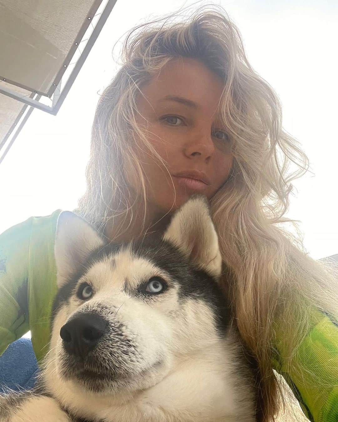 Kristina Kots Gotlibのインスタグラム：「Bonjour. #husky #huskylove #huskylife #lovedogs #dog」