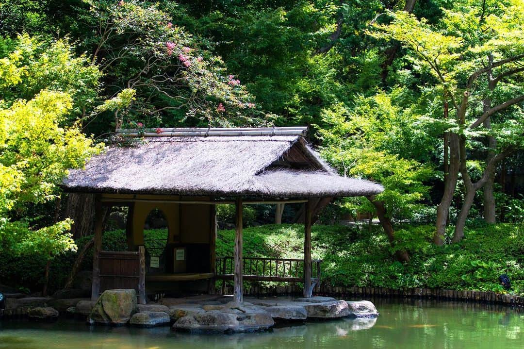 八芳園さんのインスタグラム写真 - (八芳園Instagram)「晩夏の木漏れ日が、美しく揺らめく日本庭園。 池の畔では、百日紅が鮮やかに咲いています。  百日紅の見頃は七月から九月ごろまで。  およそ百日に渡って花が咲くために、この名前が付けられたという説があるそうです。  夏の名残を感じる、鮮やかな情景をお愉しみください。  ☁️☁️☁️  #八芳園 #happoen #日本庭園 #夏 #港区 #summer #白金台 #お散歩 #百日紅   #flowerstagram #flower_daily #はなまっぷ #私の花の写真 #日本の四季 #はなすたぐらむ   #東京カメラ部 #カメラ好きな人と繋がりたい #写真好きな人と繋がりたい #ファインダー越しの私の世界 #その瞬間に物語を #キリトリセカイ  #japanesegarden #japan_daytime_view #japantravel #tokyotrip #japan_of_insta #jp_mood #tokyotokyo #special_spot #green」8月21日 19時54分 - happoen