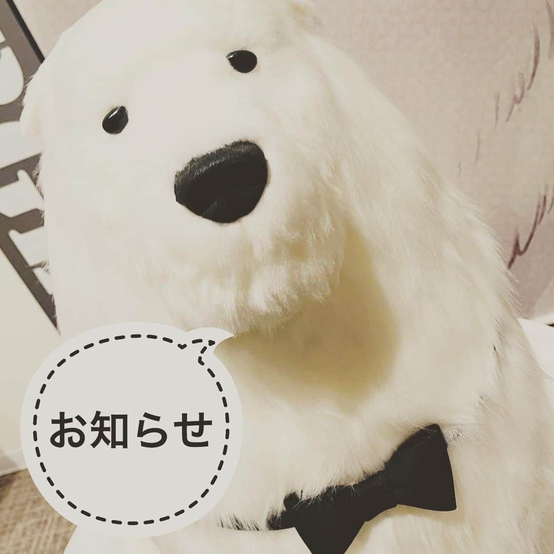 小西遼生さんのインスタグラム写真 - (小西遼生Instagram)「チケット販売のお知らせです！ 9月のライブ会場のスタンディングエリアを拡大して、追加チケットを発売いたします！  スタンディングエリアのみの販売となりますが、格別楽しい宴になると思いますので、まだチケットをお持ちでない方は、先着順になりますが明日8/22(火)18時から発売の参加チケットをお買い求めの上、是非ご参加くださいませ🏮  待ってます👘  ＊＊＊＊＊＊＊＊＊＊＊＊＊＊＊＊＊＊＊＊ 9月2日、3日に開催のライブ「夏の心音2023-晩夏の宴-」のスタンディングエリア(BACK-自由)を拡大し、参加チケットの一般発売〈2次受付〉を行います！ 明日8/22(火)18時より先着順での販売となります。 まだチケットをお持ちでない方、抽選で外れてしまった方も、2023年夏の終わりのスペシャルライブをスタンディングで盛り上がりましょう！どうぞ、お見逃しなく♪  【対象の販売チケット】 STANDING(BACK-自由)  【チケット詳細•ご購入はコチラから】 https://konishiryosei.com/contents/665957  受付期間： 2023年8月22日(火)18:00〜8月31日(木)23:59」8月21日 20時13分 - ryosei_konishi_official