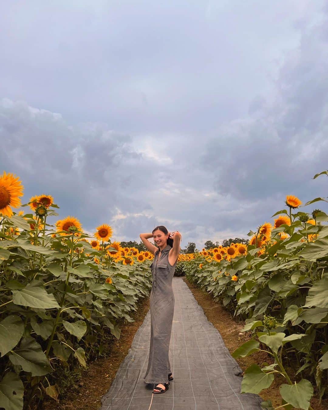 大政絢のインスタグラム：「🌻☺️☁️  先日、子供の頃は毎年行ってた北海道北竜町のひまわり畑に✨」