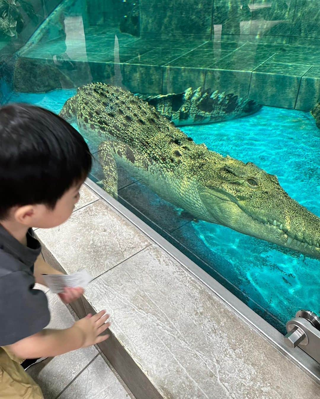 川田裕美さんのインスタグラム写真 - (川田裕美Instagram)「夏休みは家族で大阪に帰省していました👨‍👩‍👧‍👦 ちょうど息子の3歳のバースデーも重なっていたのでお祝い✨🎂何度も自分でバースデーソングを歌ってご満悦でした🥰🎵  ユニバーサルシティウォークやエキスポシティにも行ってみました😊住んでいると意外と行かなかったりするので、楽しかったー🥳  #3歳 #1歳 #3歳バースデー」8月21日 20時36分 - hiromikawata163